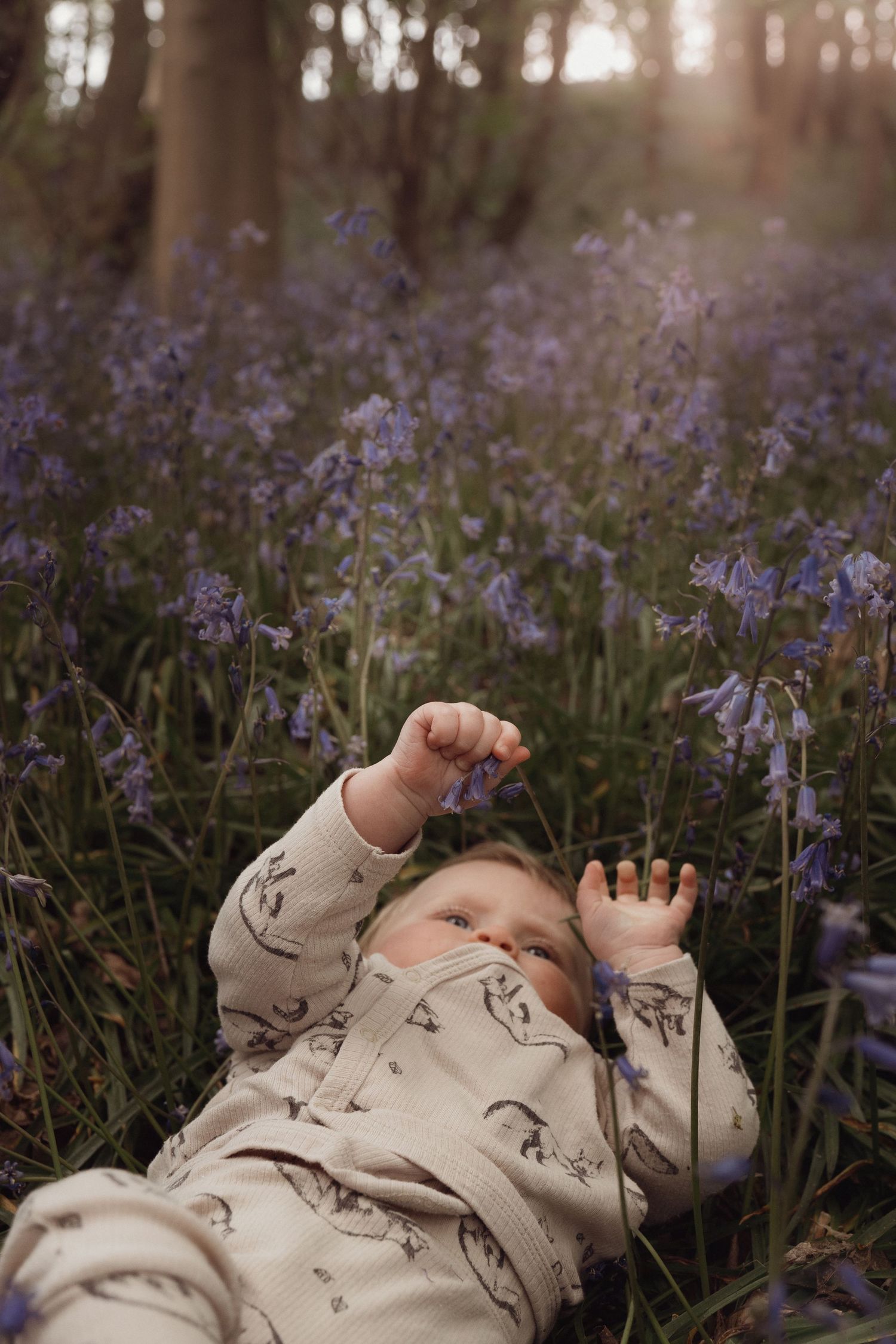 Baby lies among spring bluebells reaching for sunlight during a soft outdoor family session in Burton on Trent