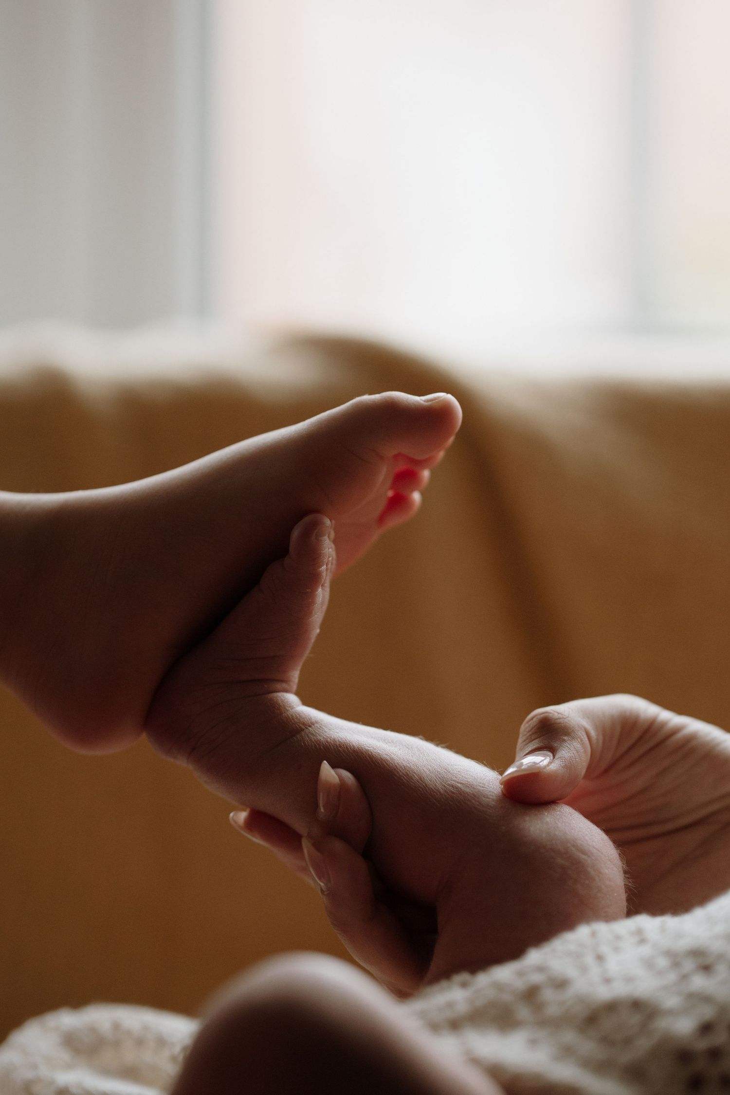 Tiny newborn feet held gently in a parent’s hands, captured in warm natural morning light.