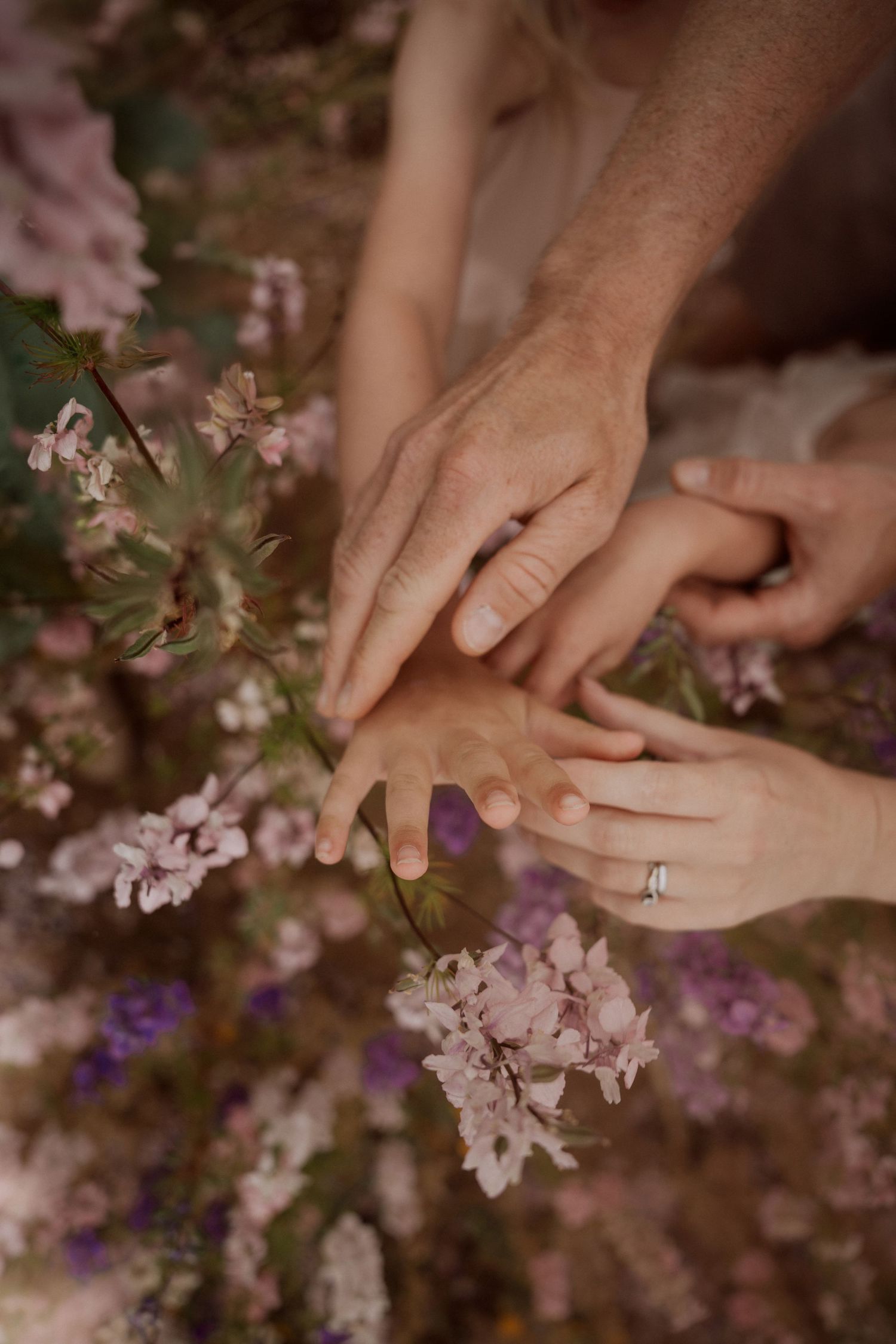 Adult and child hands layered together among blooming wildflowers, rings visible on the adult’s fingers, symbolising connection during a nat