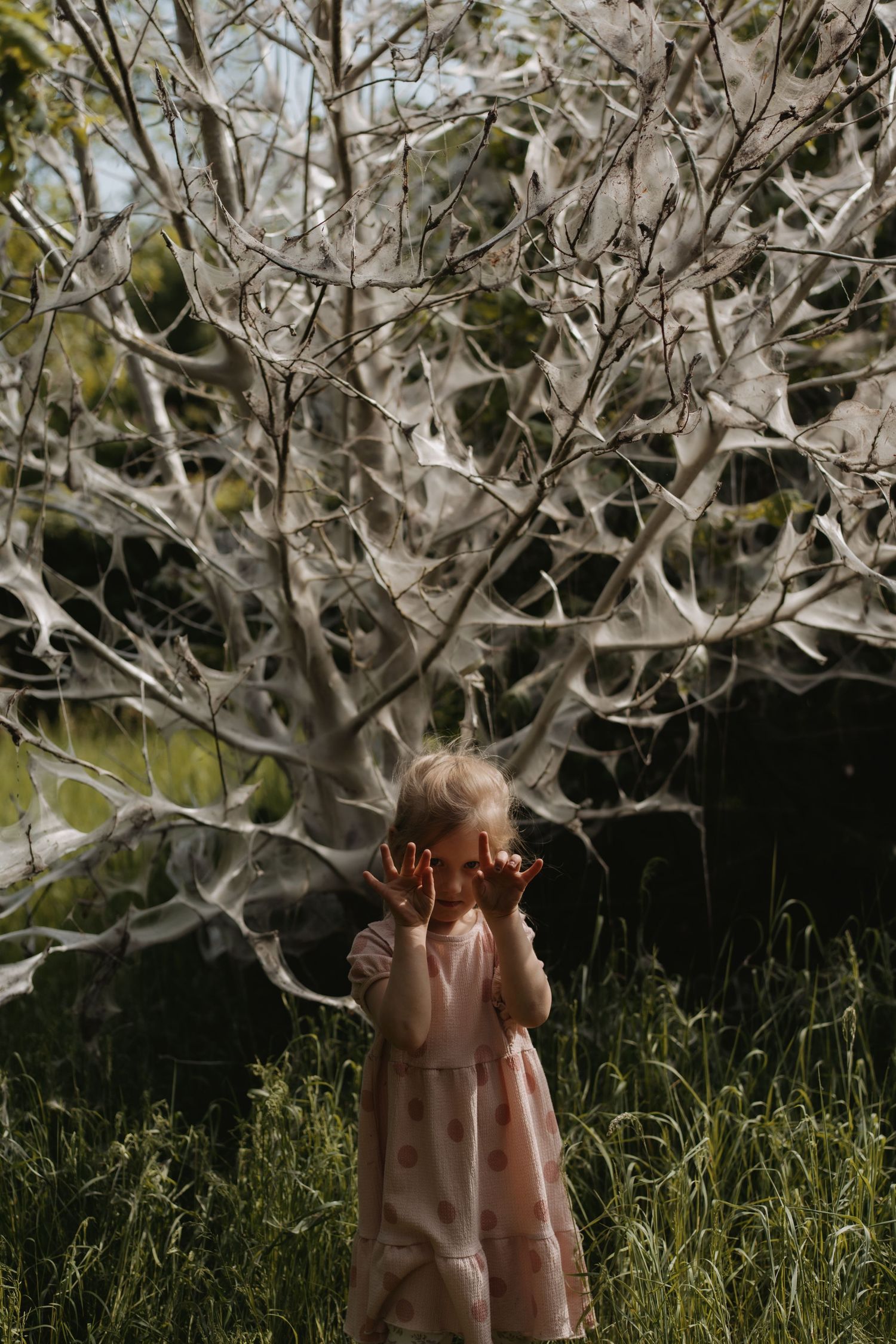 A girl standing behind a webbed tree in Burton Arboretum