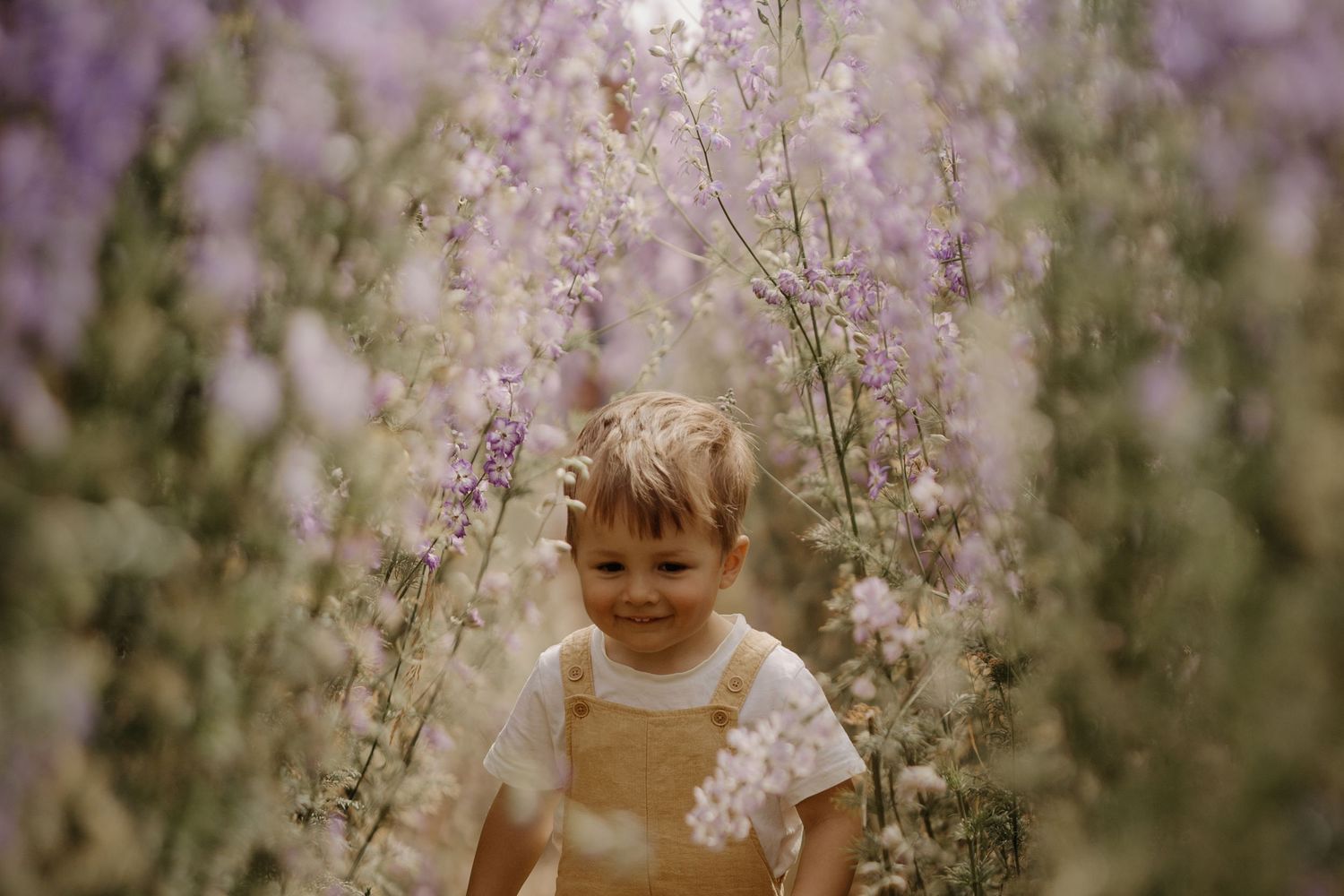 Child running through delphinium rows at the confetti field during confetti field mini session