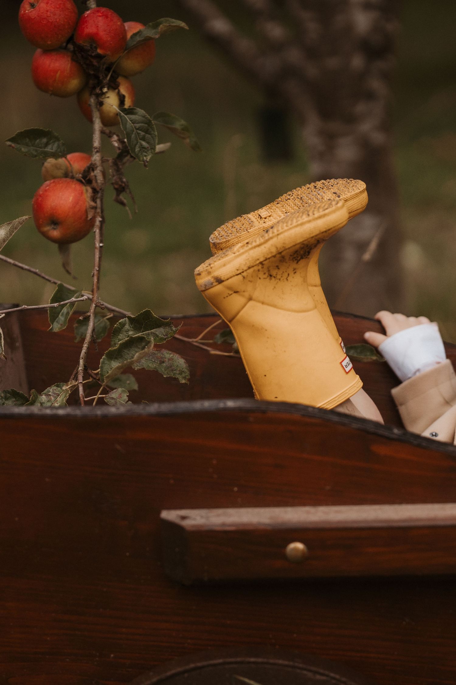 Child’s yellow boot rests beside red apples on a wooden cart during an autumn storytelling session in Tamworth