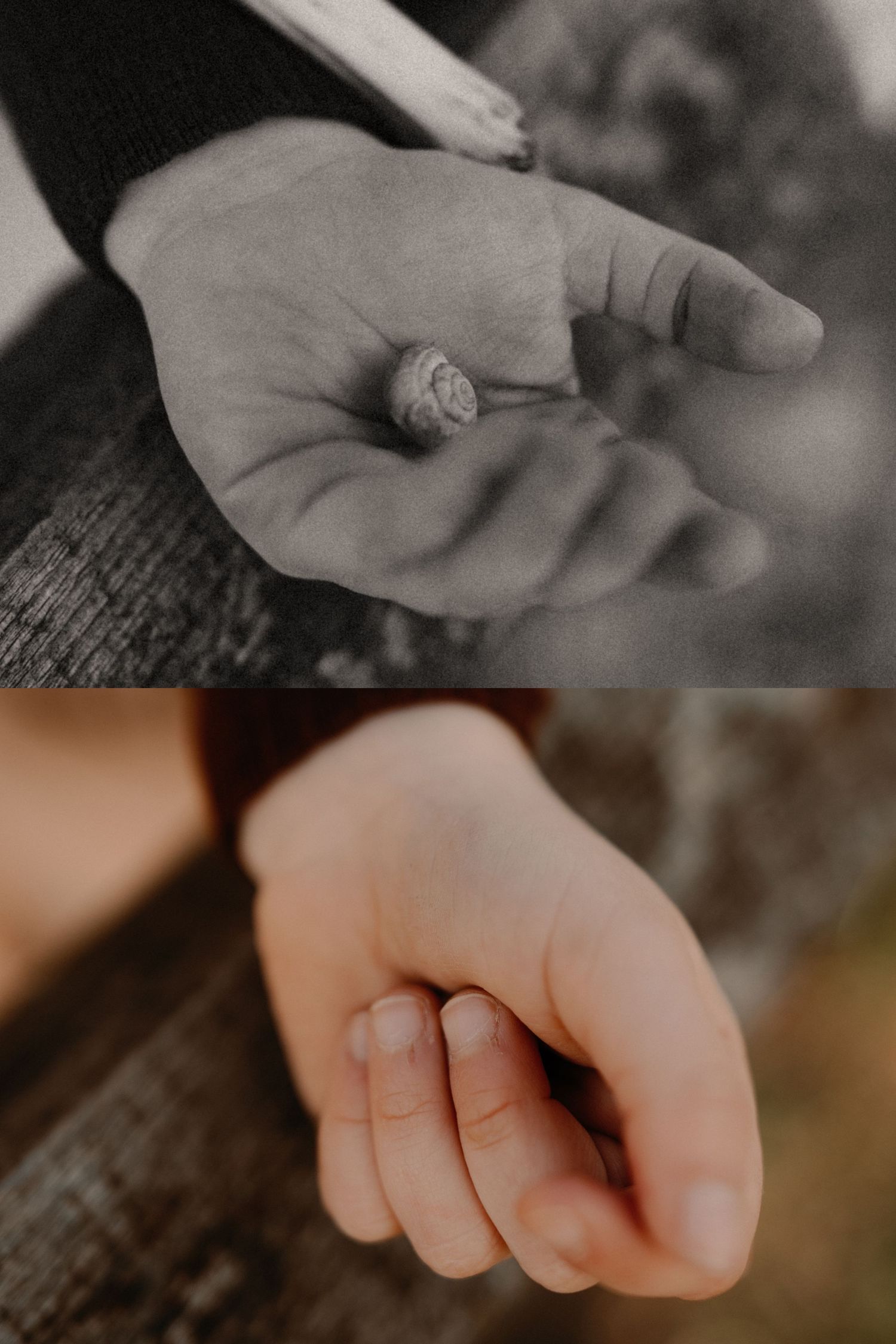 Close-up of a parent and child holding a shell, gentle connection during an outdoor walk.