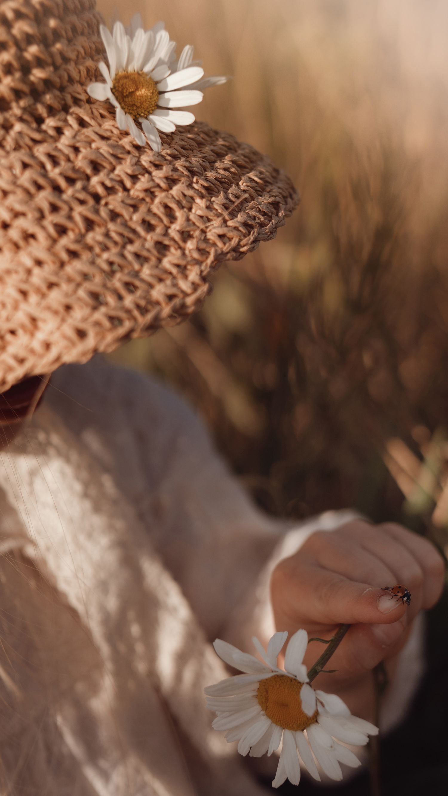 Detail of a straw hat decorated with a single daisy, held gently between adult fingers, with soft golden grass blurred in the background, ca