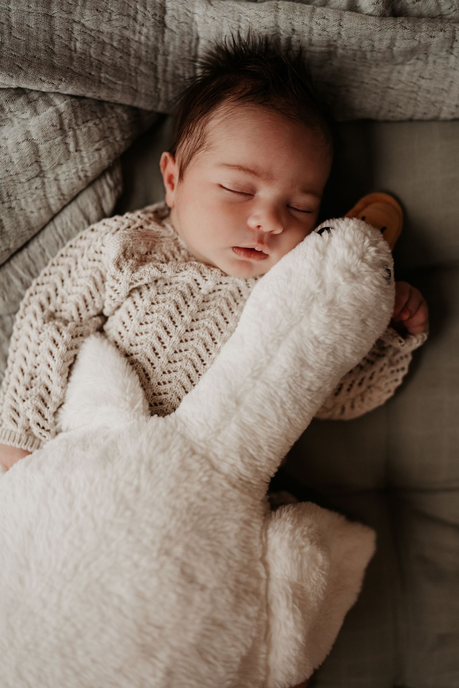 Sleeping newborn cuddled with a soft toy during a calm lifestyle newborn photoshoot at home in Stoke on Trent