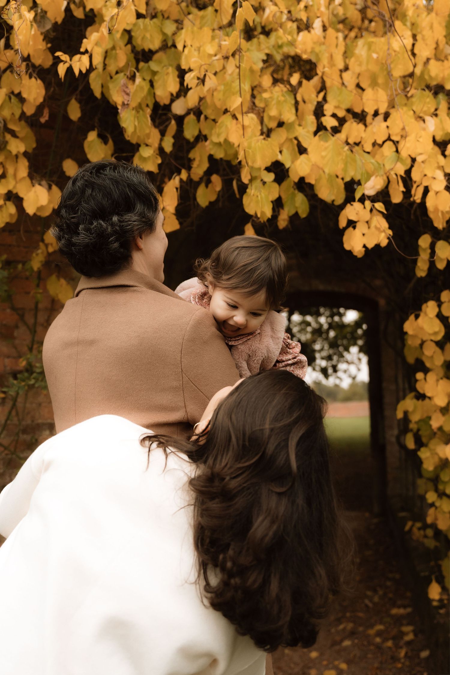 Family gathered beneath golden autumn leaves, one adult holding a toddler while another leans in close, sharing laughter and warmth