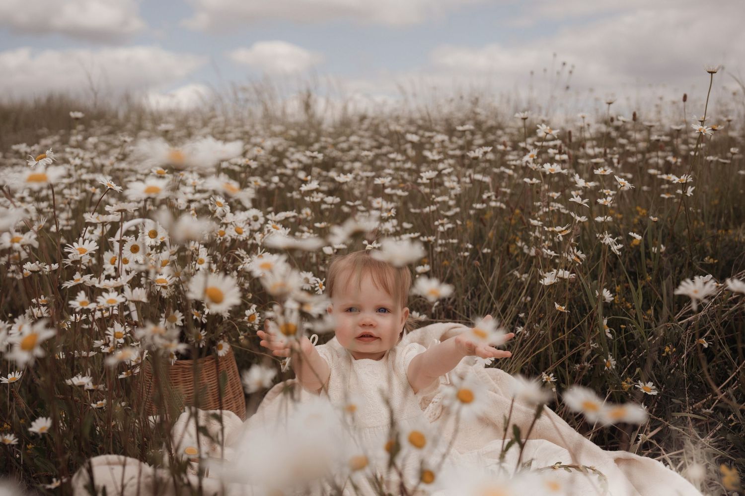 Baby sits among blooming daisies in a summer field during a warm Midlands family photoshoot, Swadlincote