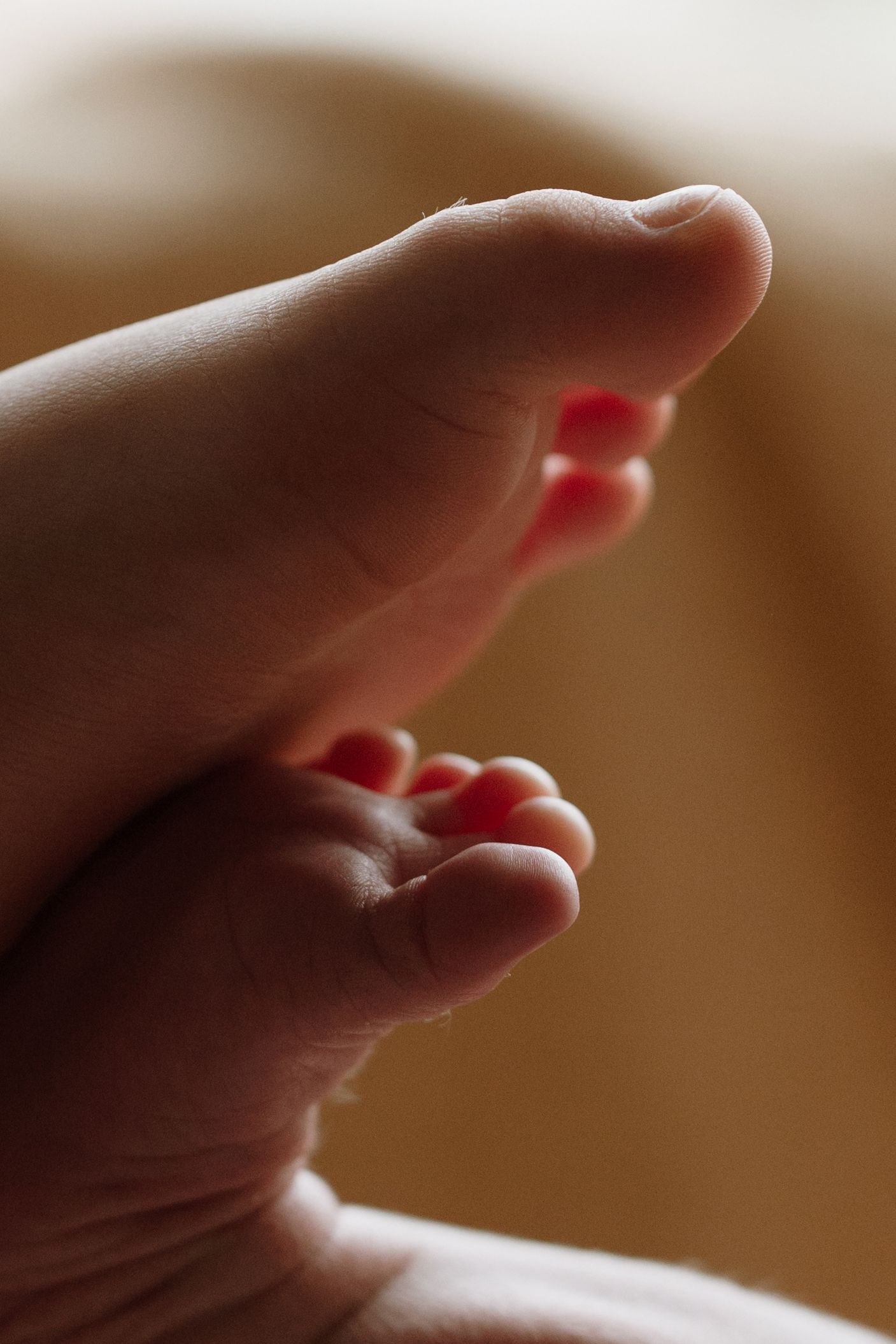 Tiny newborn toes resting in a parent’s hand during a warm lifestyle detail shot with Soft Stories by Angela in Moira