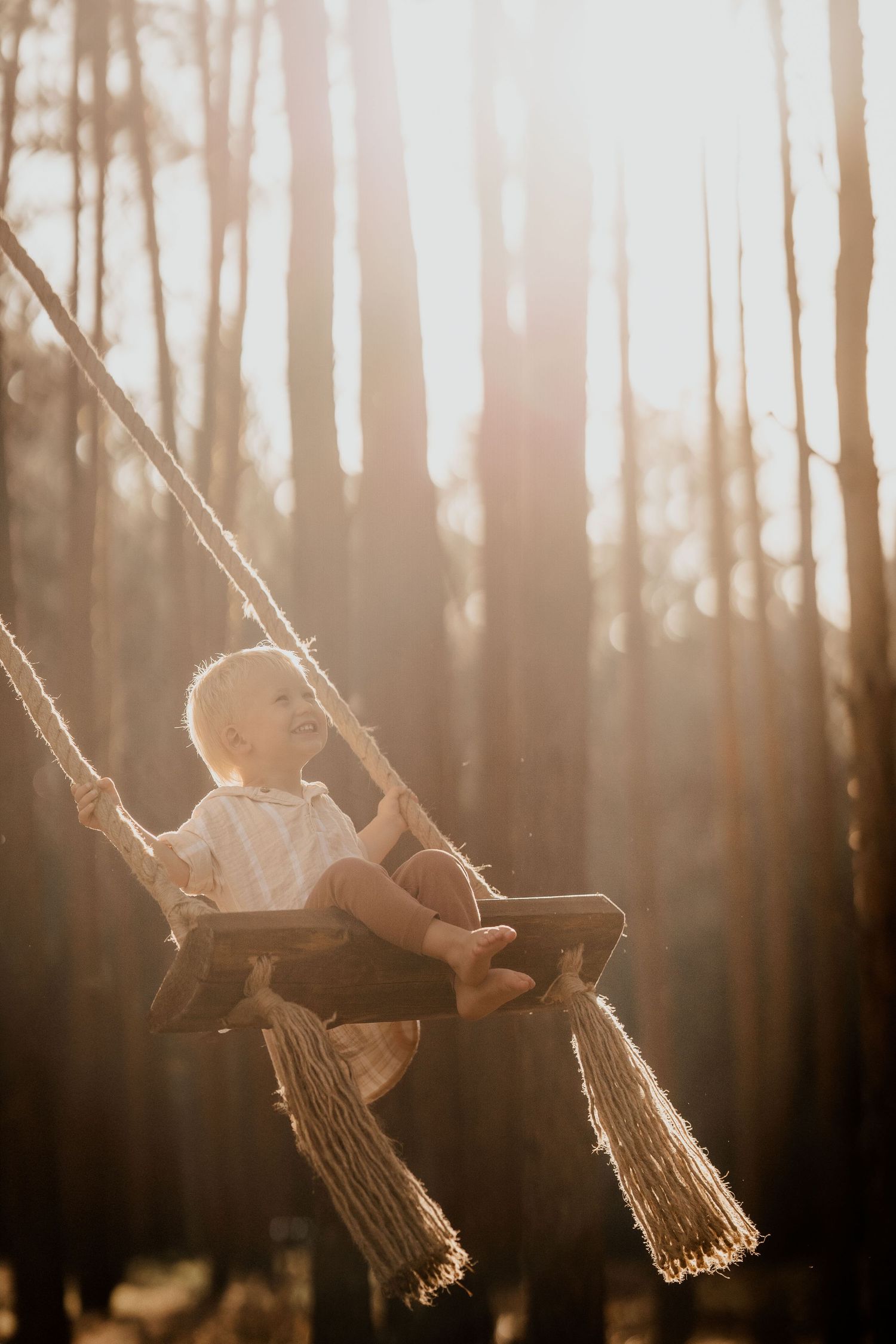 Young child sitting on a wooden swing in a sunlit forest, gentle light filtering through the trees during a relaxed lifestyle photoshoot.