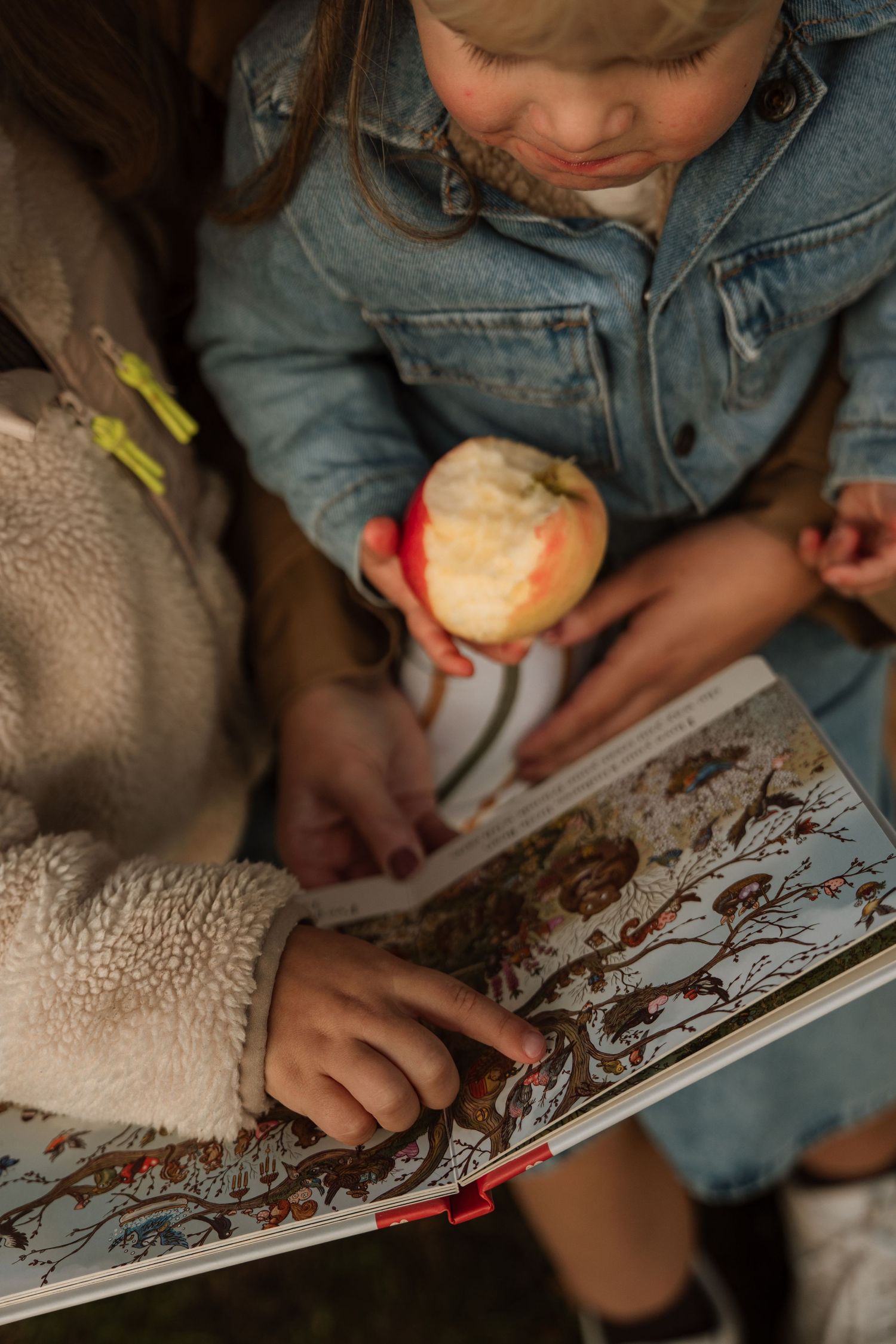Child holds an apple while turning book pages during a cozy family apple orchard photoshoot.