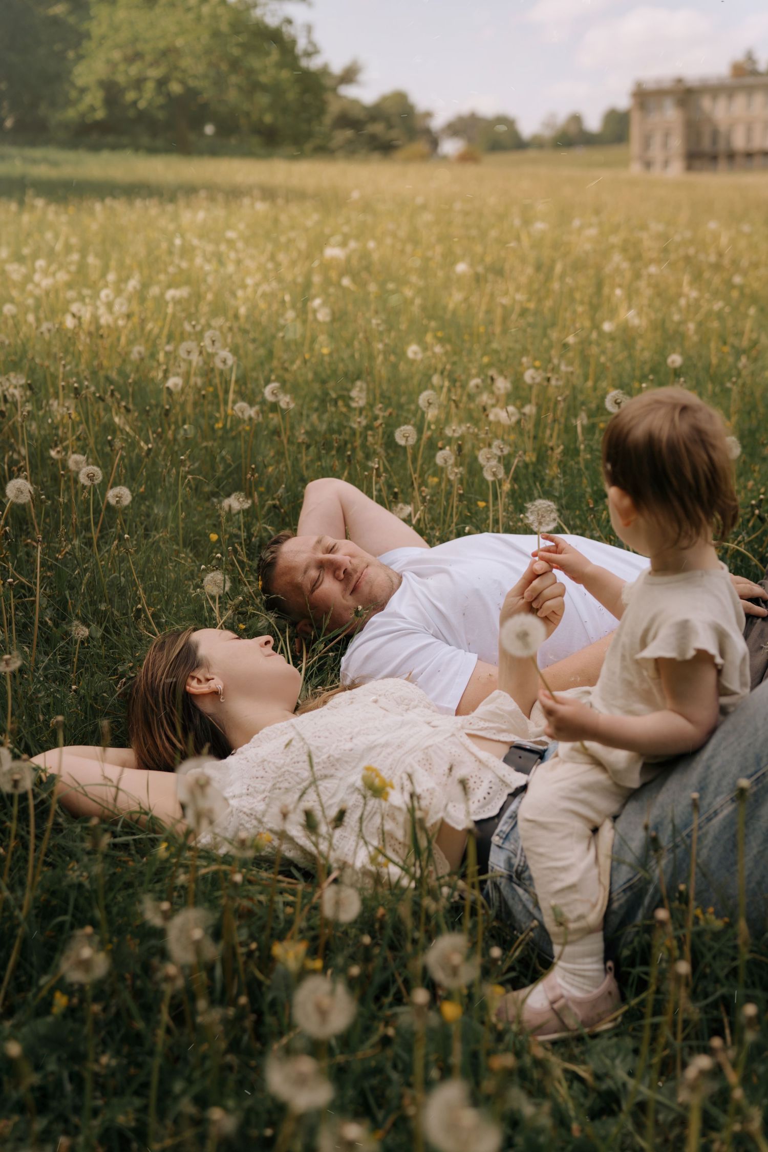 Family relaxes together in a dandelion field during a soft, storytelling session in the Midlands.
