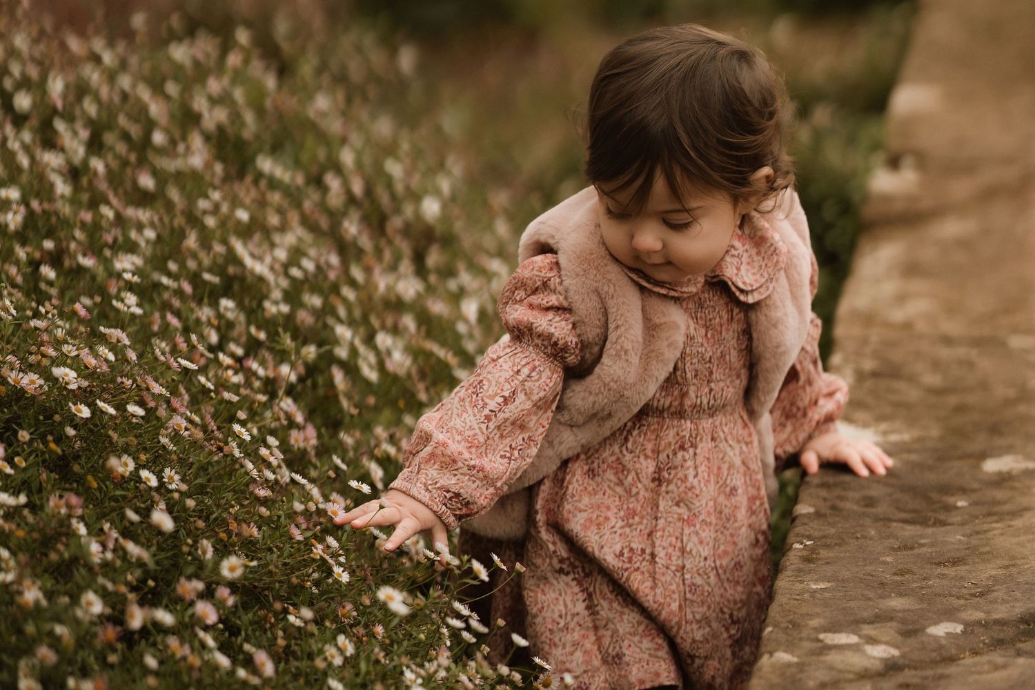Little girl walks along garden flowers in a vintage pink outfit during an outdoor childhood photoshoot.
