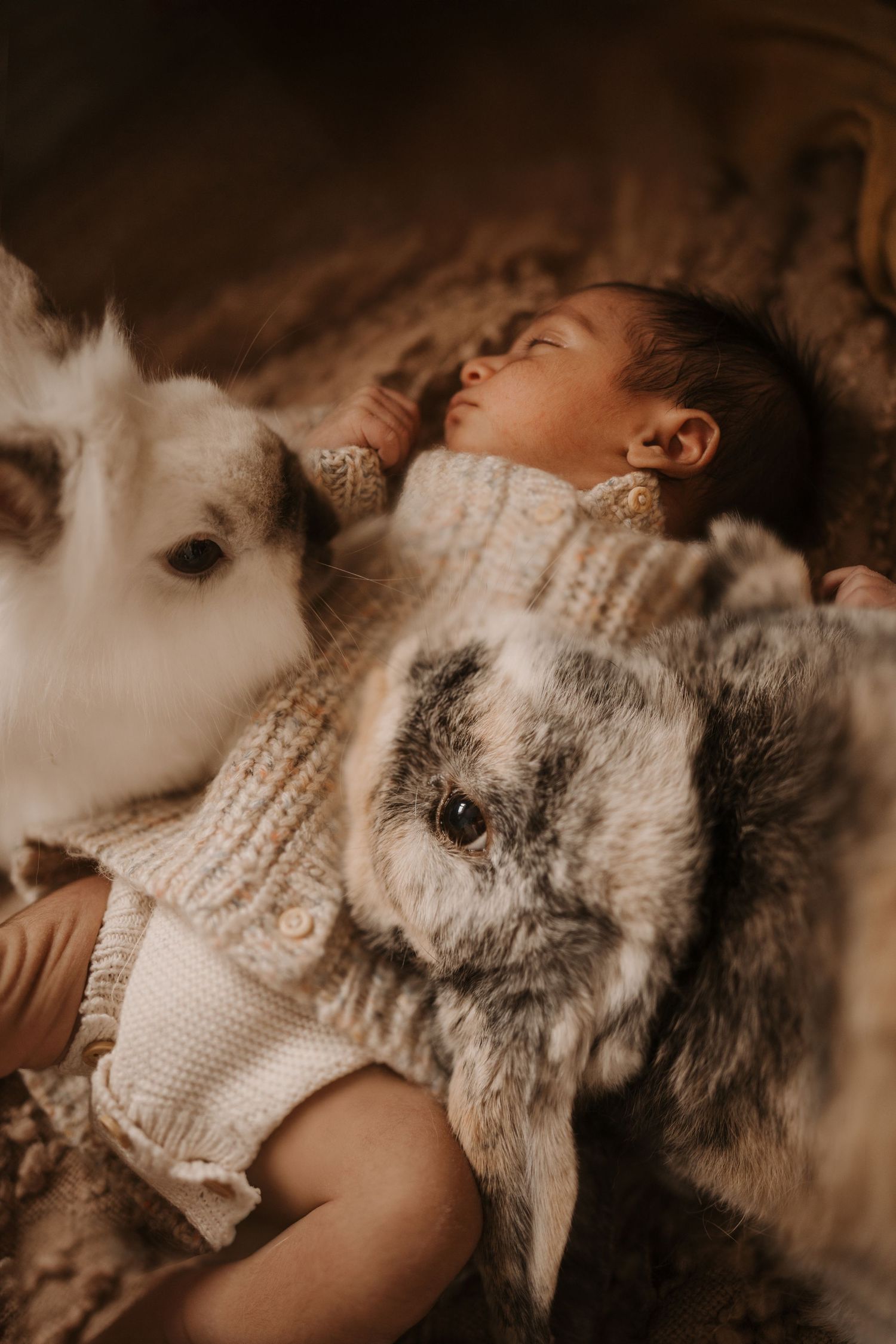 Newborn sleeping beside two rabits during a warm lifestyle newborn photoshoot at home in Swadlincote