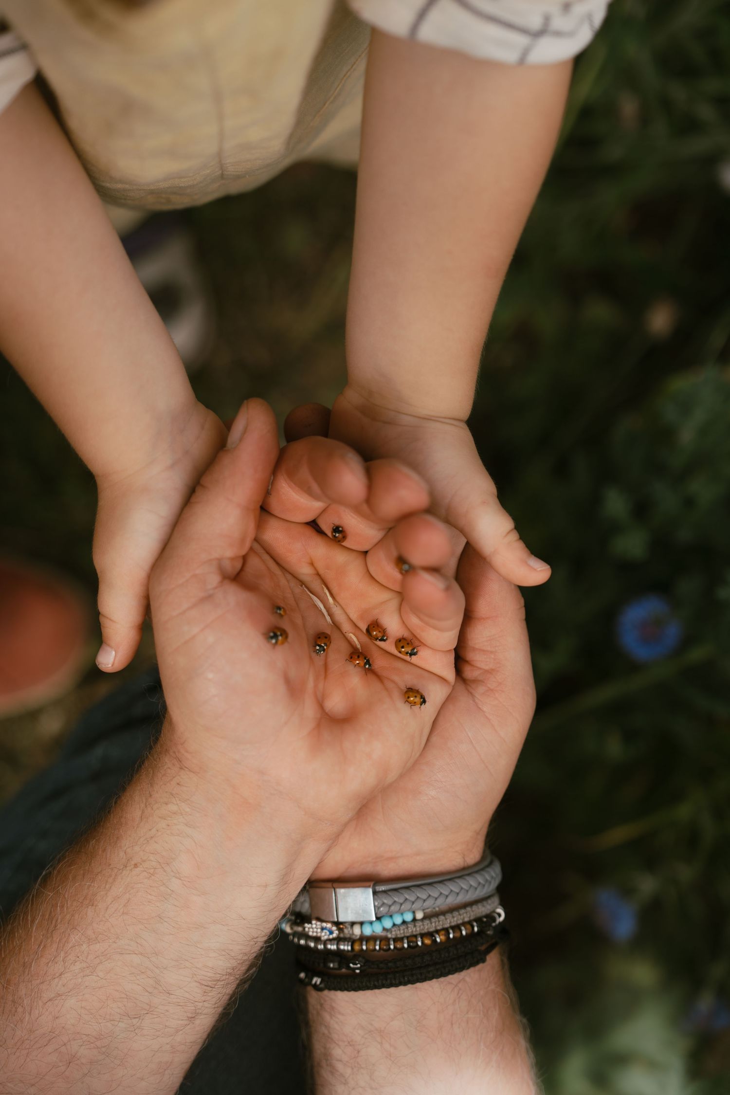 Tiny discoveries resting in open palms, shared quietly between child and grown-up during a storytelling photoshoot.