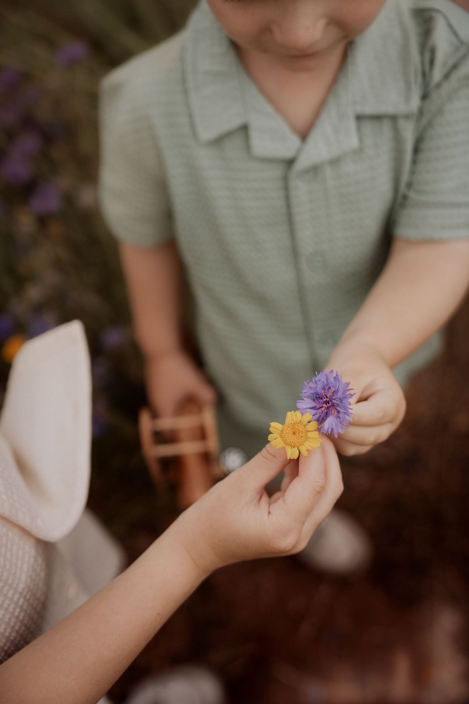 a close-up of fingers touching wildflowers in full bloom during Confetti Delphinium Field Photoshoot