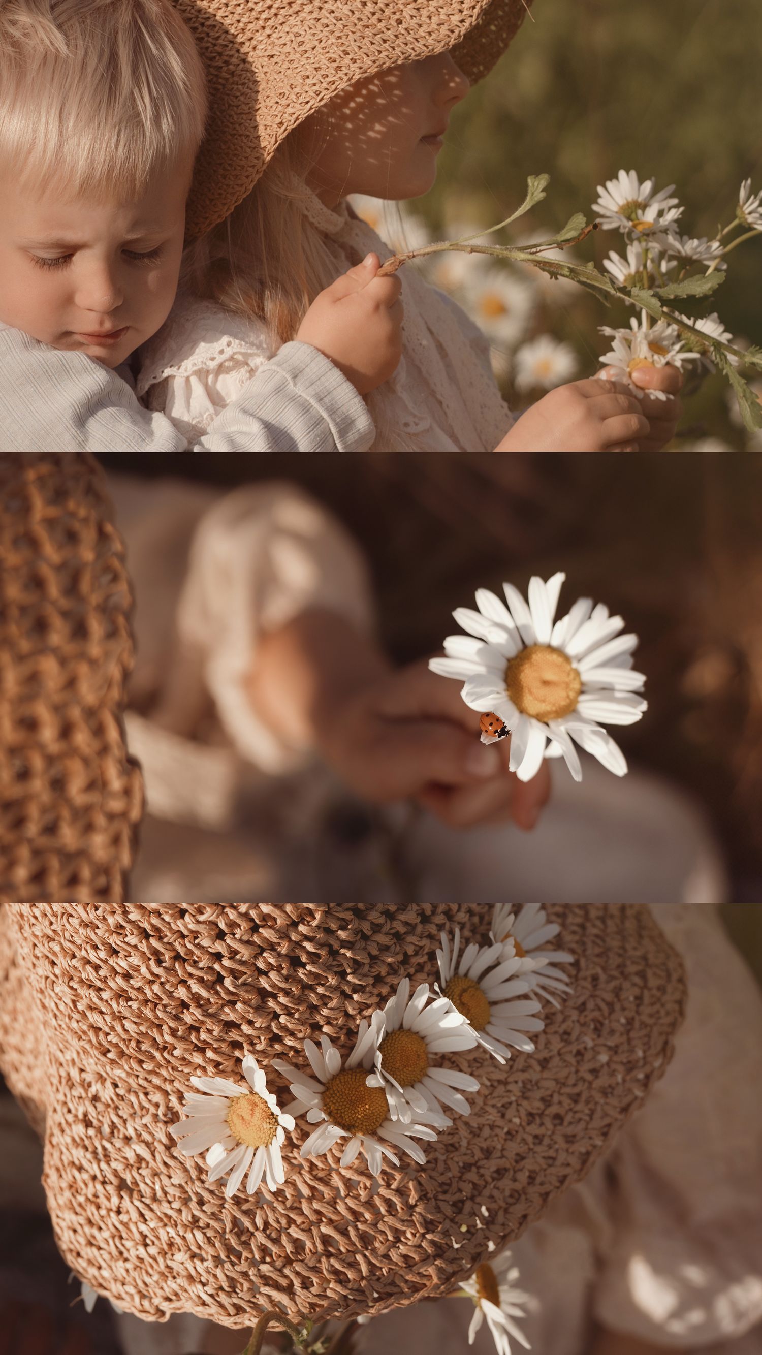 Close-up of a toddler holding a small bunch of white daisies, tiny hands exploring the petals while warm sunlight filters through a woven st