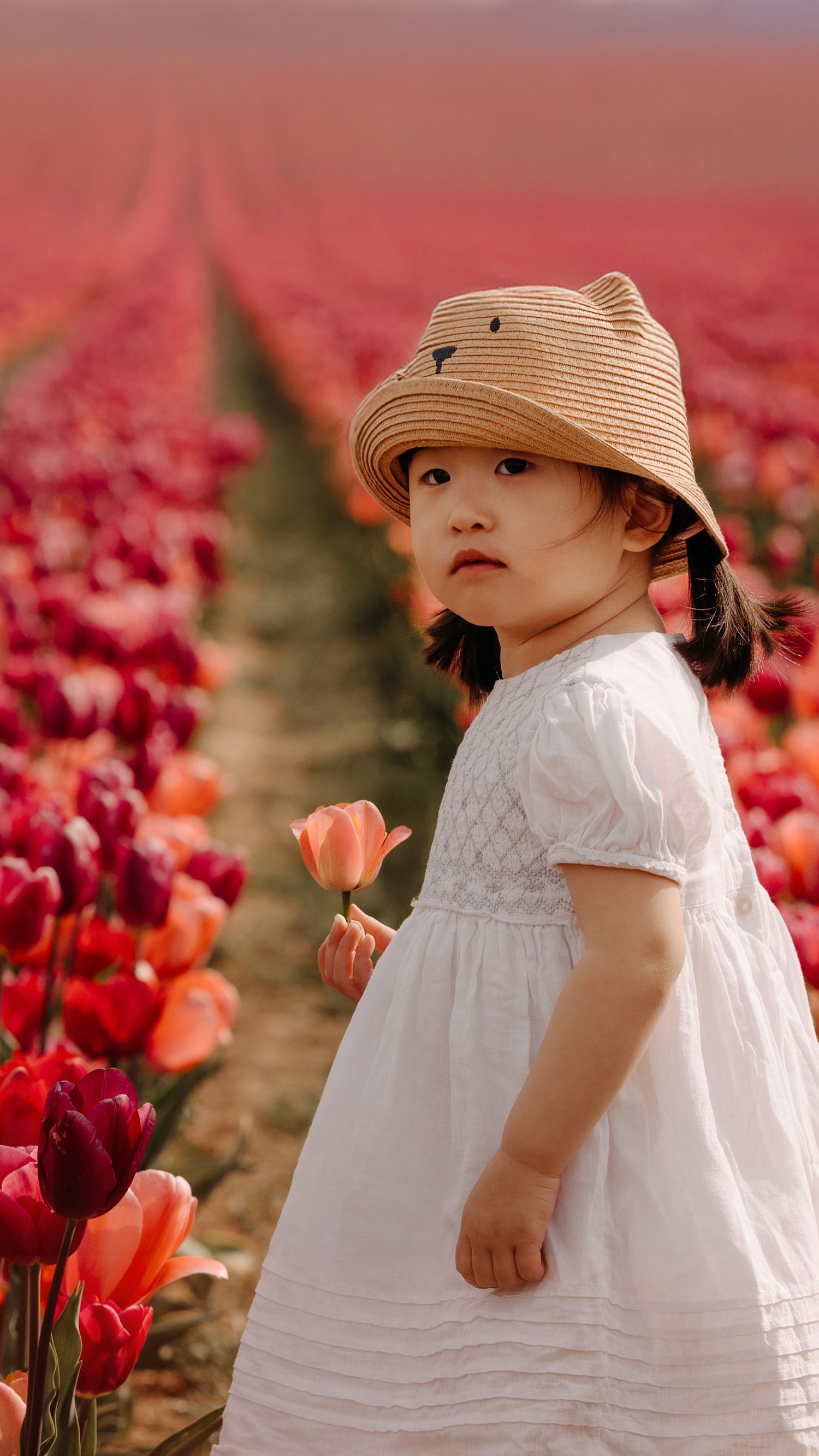 Toddler in white dress and hat stands among red tulips during a spring family photoshoot in the Midlands. Tulleys Tulip Garden Field