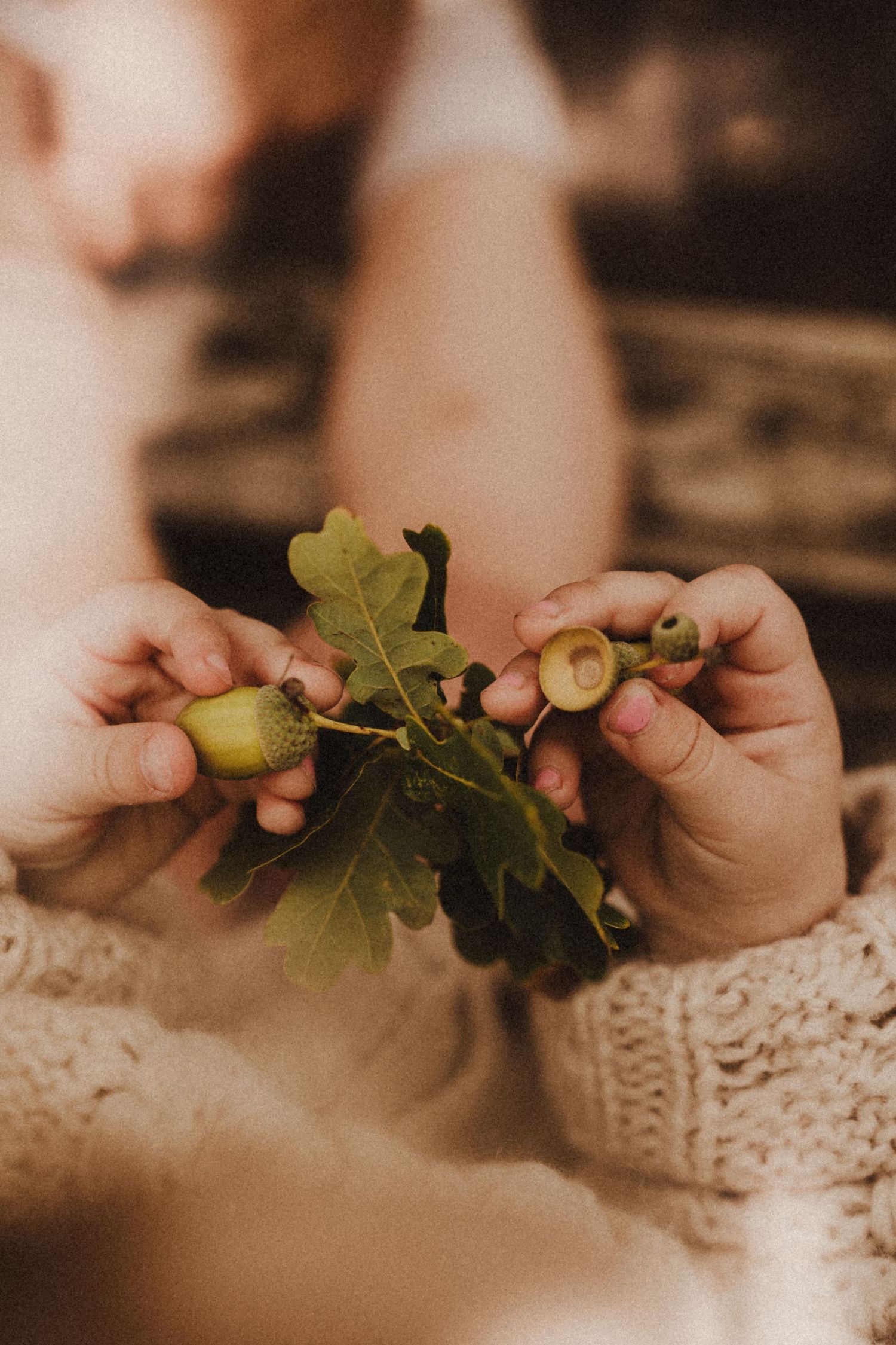 Child’s hands hold oak leaves and acorns during a storytelling autumn photoshoot in Birmingham.