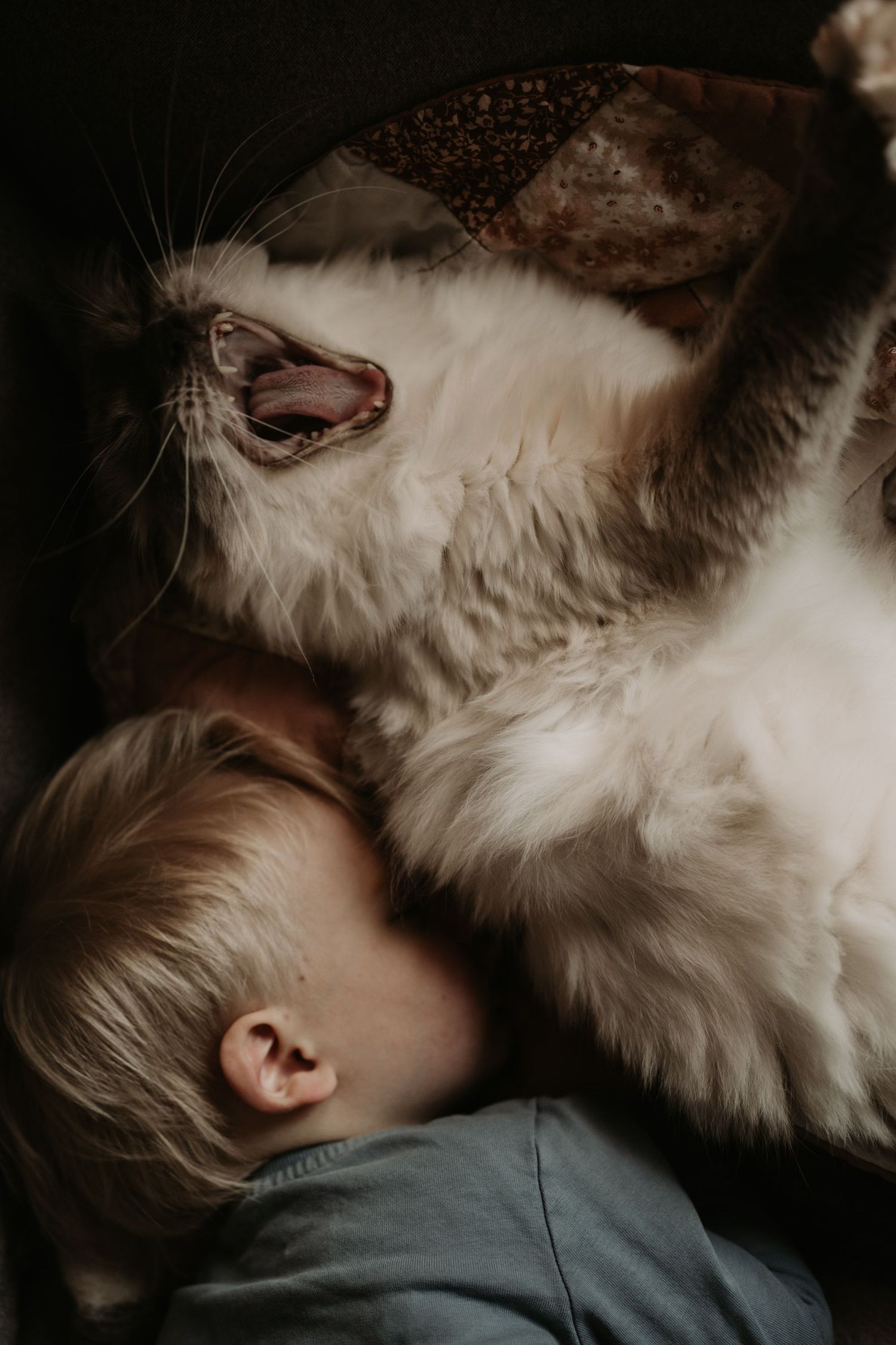 Child resting their head against a fluffy cat, sharing a calm, affectionate moment at home during a documentary-style family photoshoot