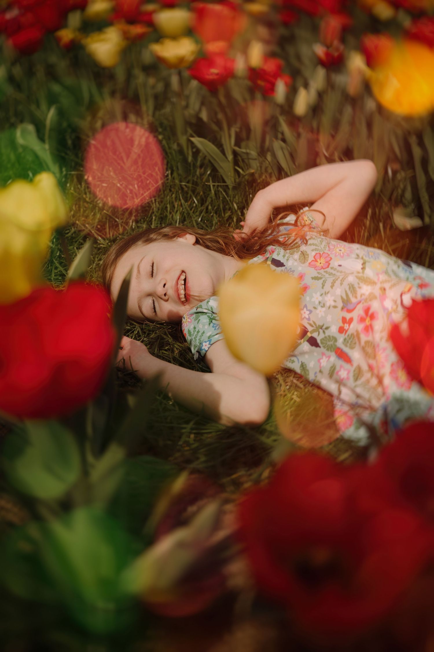 Girl in floral dress lies among bright tulips during a colourful spring family photoshoot in the Midlands. Tulleys Tulip Garden Field