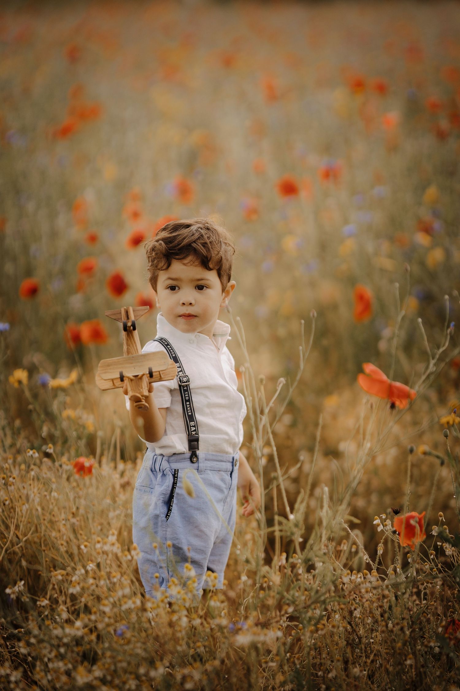 Toddler in the wildflower meadow — flower field mini session Confetti Field