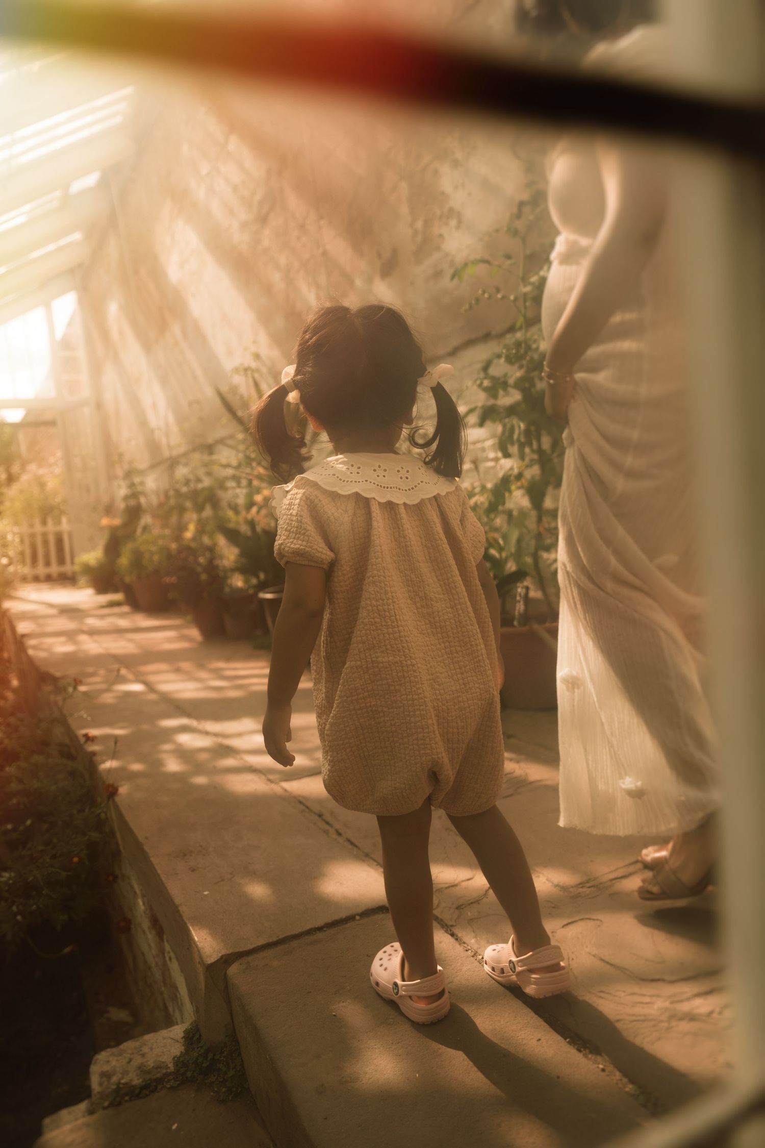Golden light and little steps through a sunlit greenhouse – poetic family photography in Burton upon Trent.