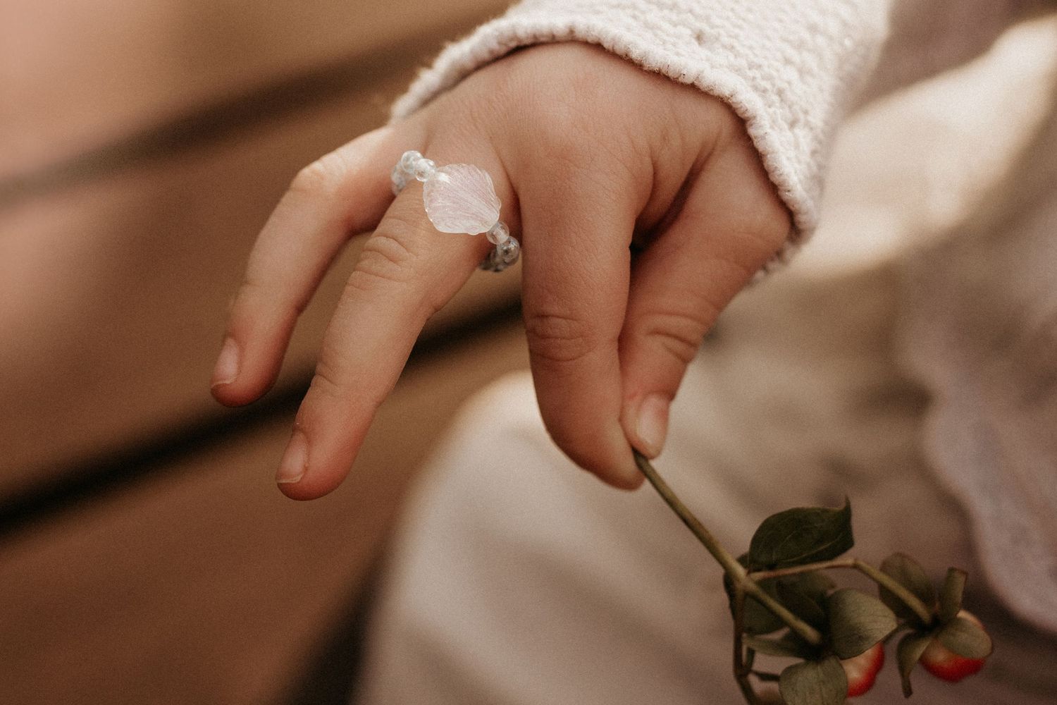 Child’s hand holds a daisy gently during a soft, nature-inspired storytelling photography session in Tamworth