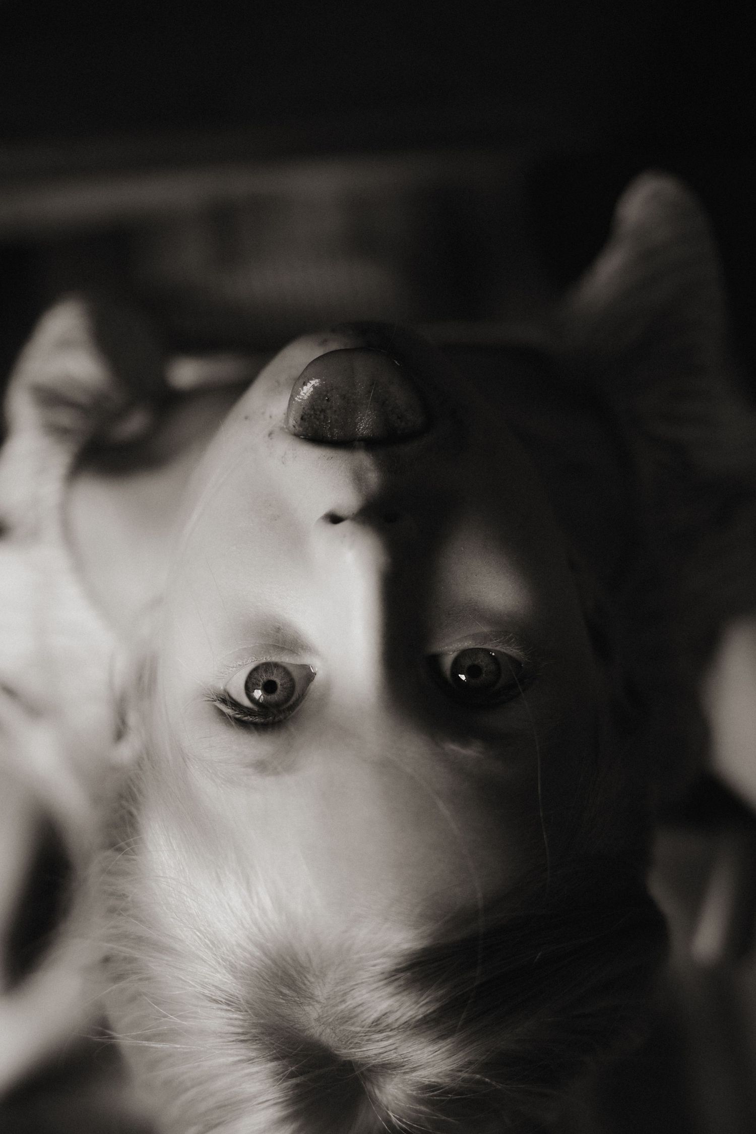Soft black-and-white portrait of a child’s thoughtful gaze – emotive childhood photography in Burton upon Trent.