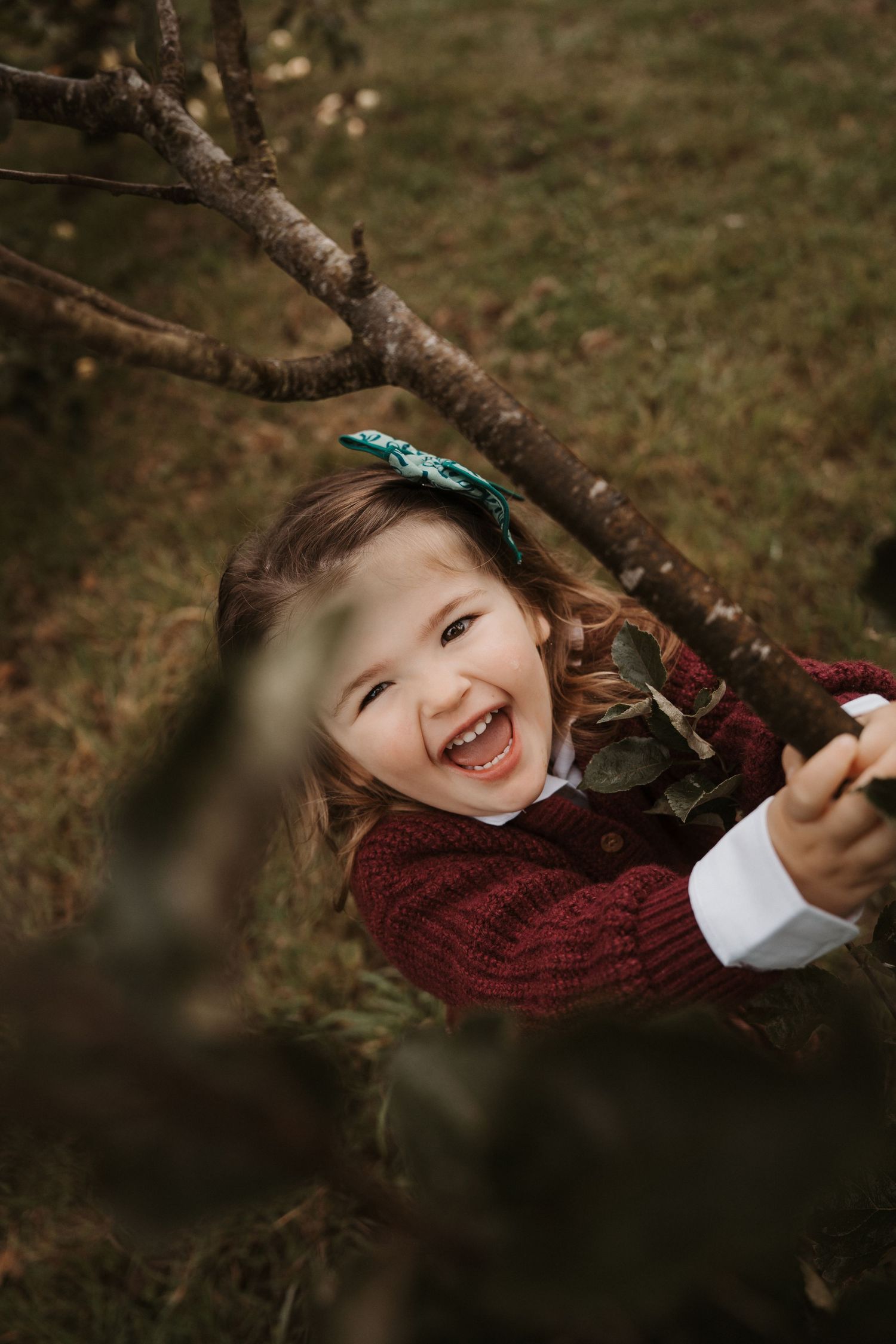 Child laughing while climbing a tree branch outdoors.