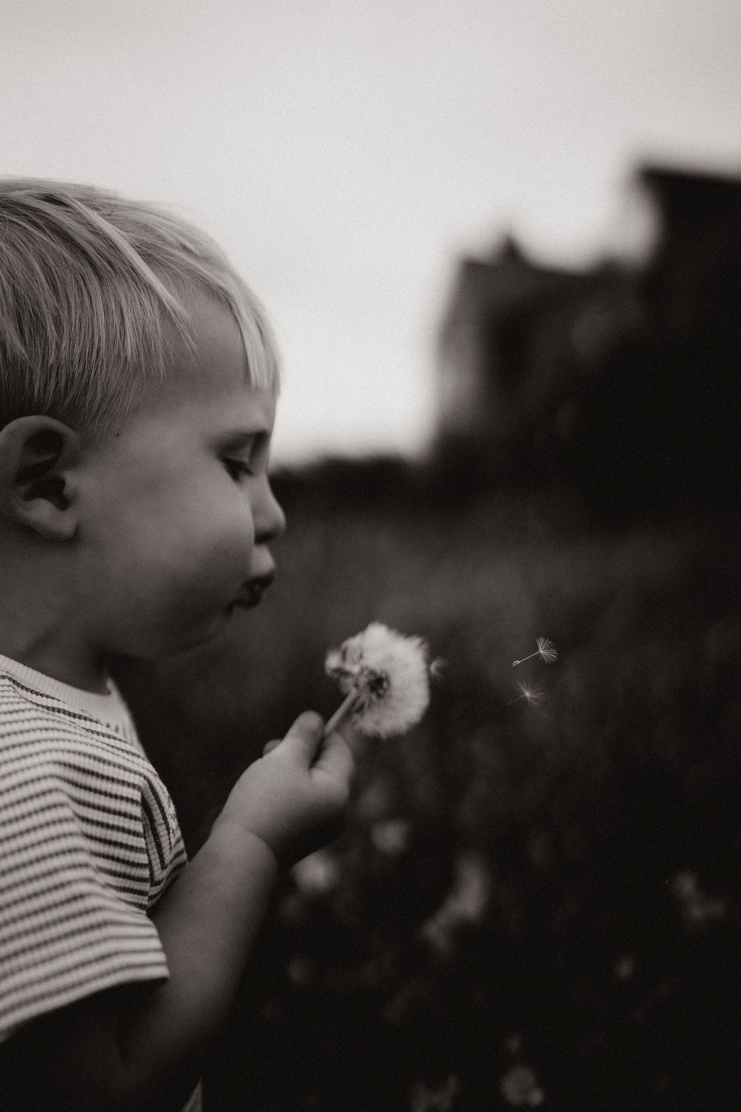Toddler holding a small wildflower and watching it closely outdoors, a quiet moment captured during a natural storytelling photoshoot.