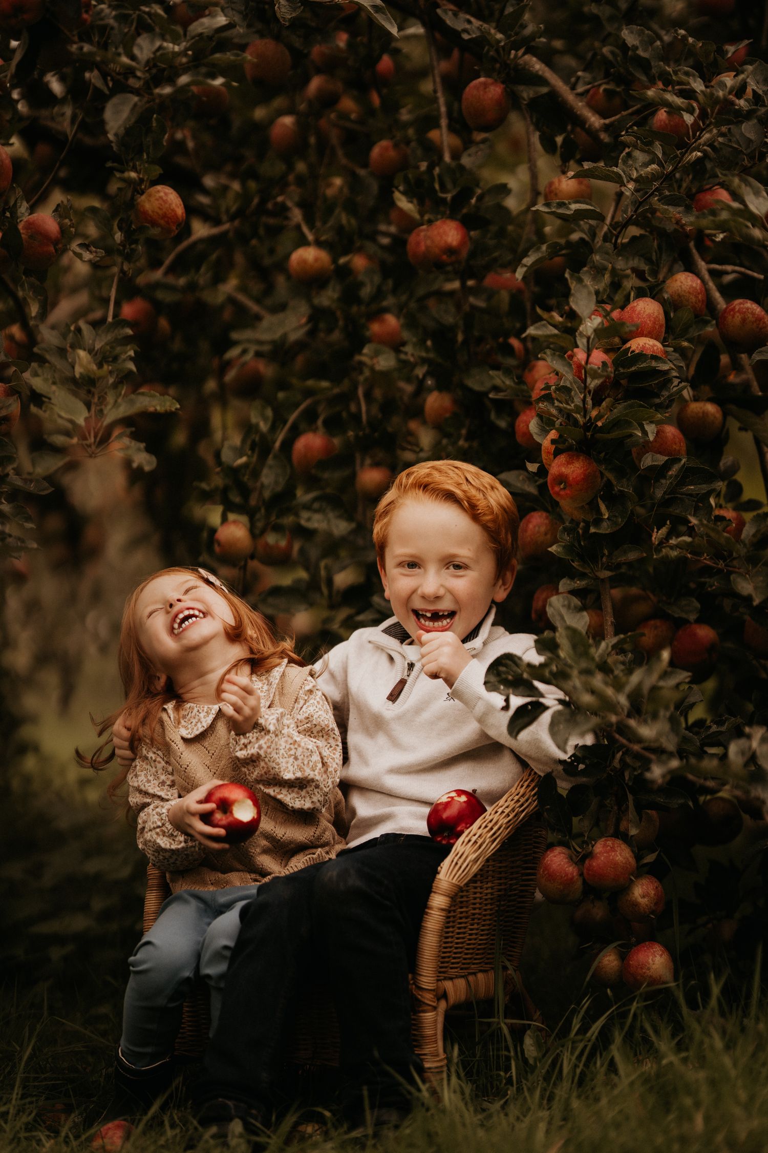 Siblings laugh together under an apple tree during an autumn family photoshoot in Tamworth.