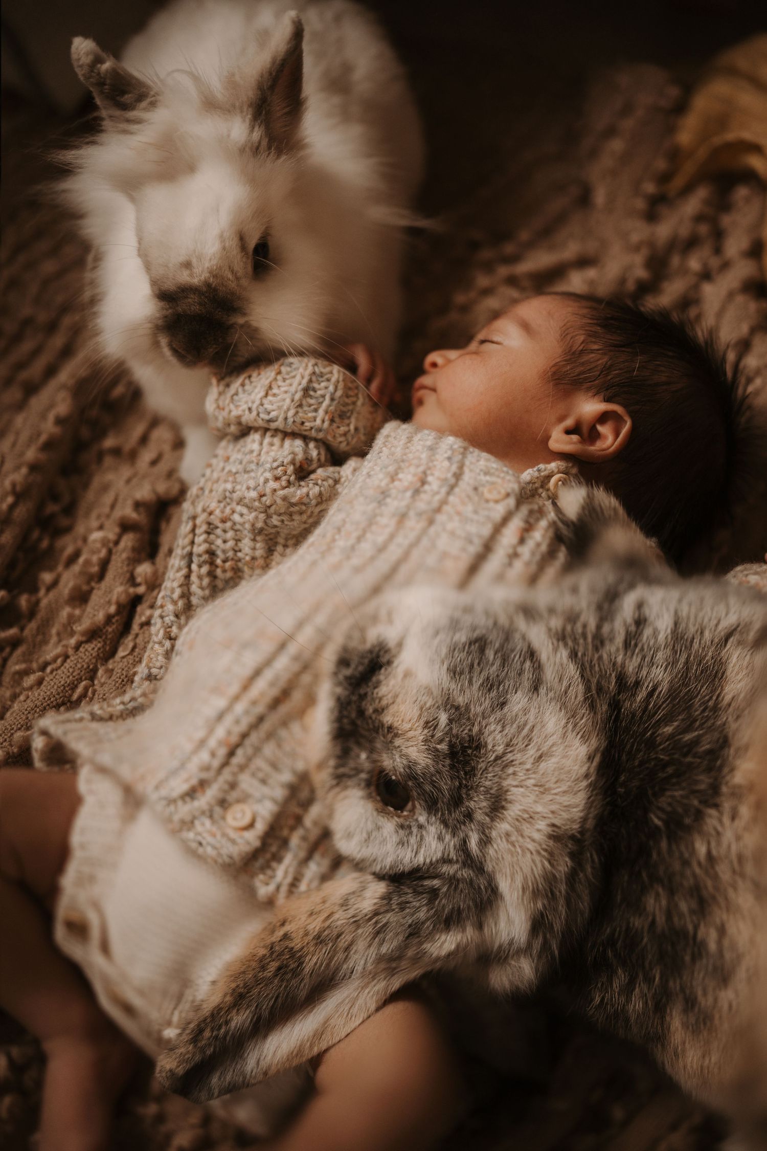 Newborn sleeping beside two rabits during a warm lifestyle newborn photoshoot at home in Swadlincote