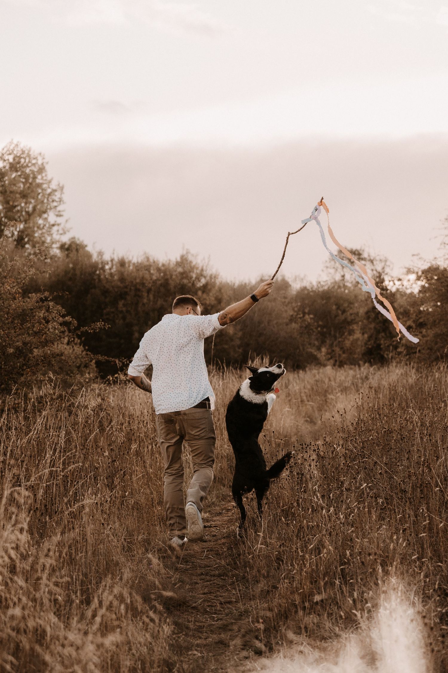 Dad plays with dog in tall grass at sunset during a natural storytelling family photoshoot outdoors in Asby de-la-Zouch