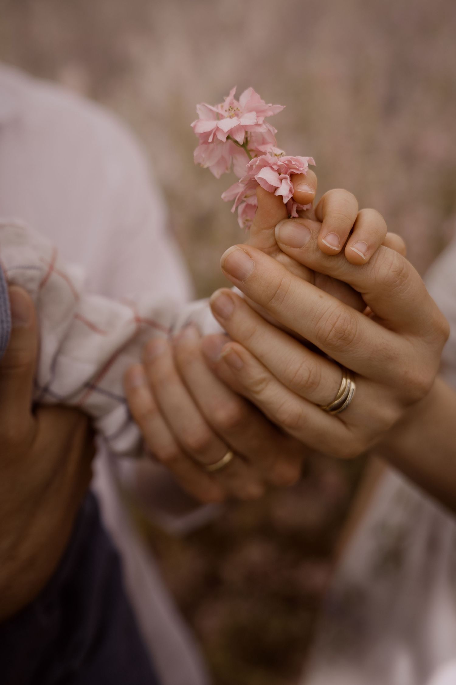 a delphinium flower details with family hands touching during Shropshire Petals family photoshoot