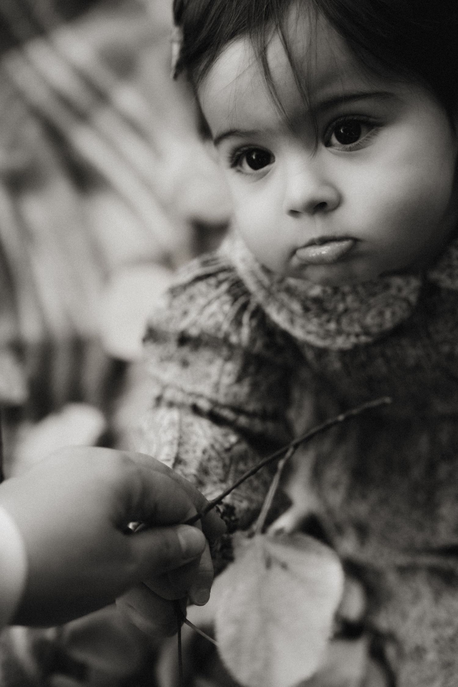 black and white Close-up of a child holding a leaf in autumn light during a natural outdoor family photography session in Melbourne
