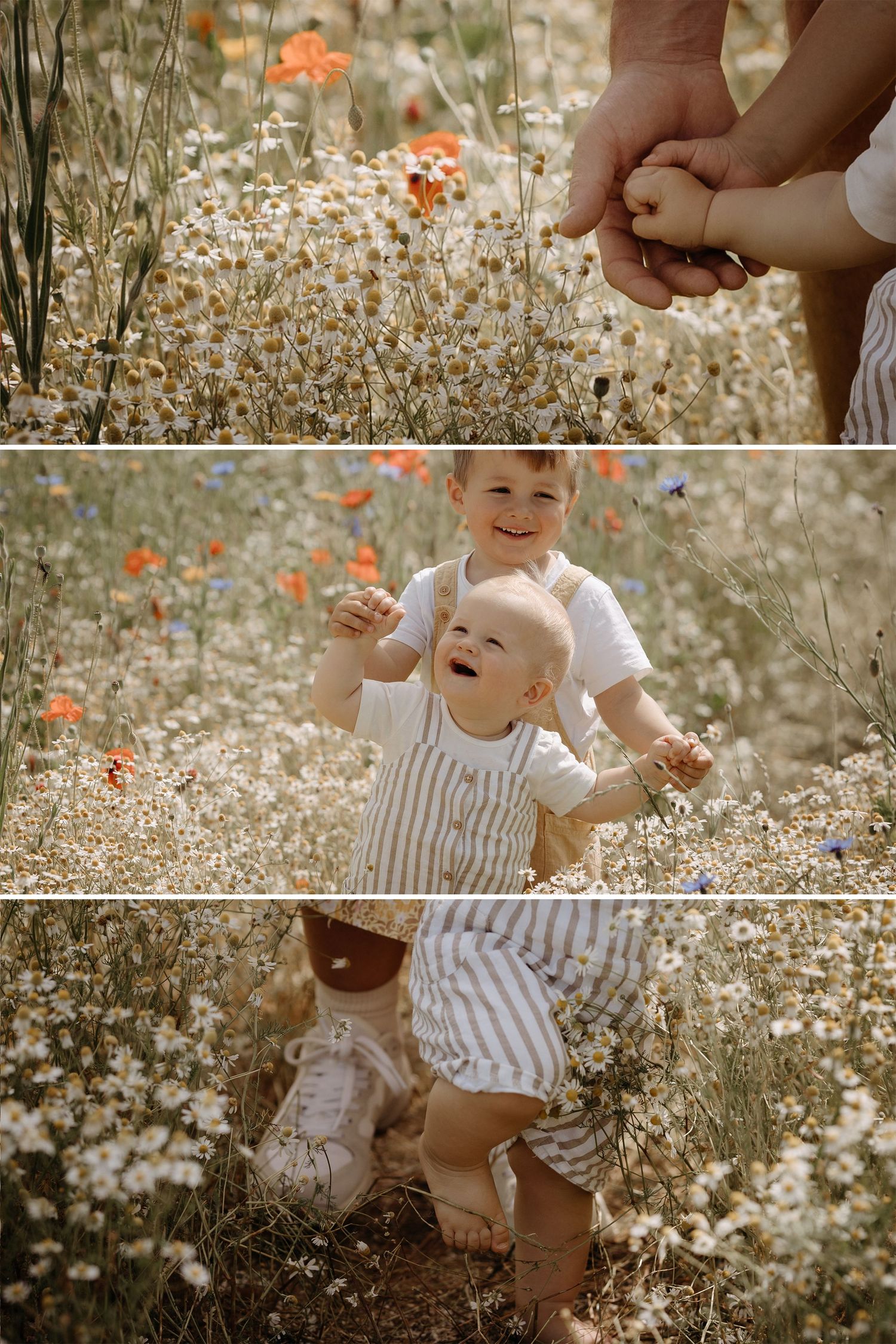 Children playing in wildflower meadow during confetti field