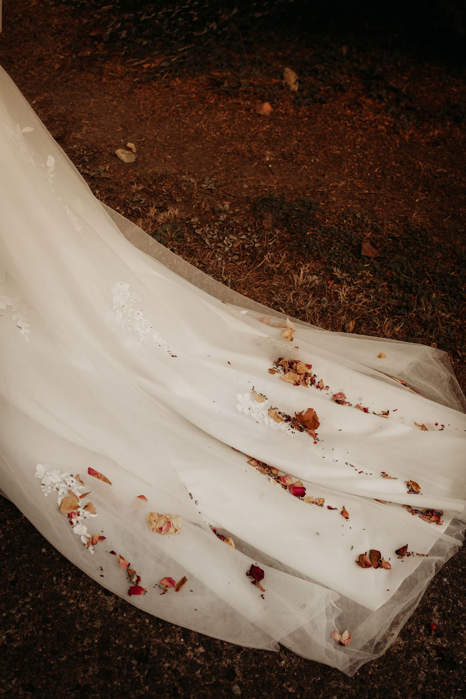 Wedding dress trailing on the ground with scattered petals during an outdoor celebration.