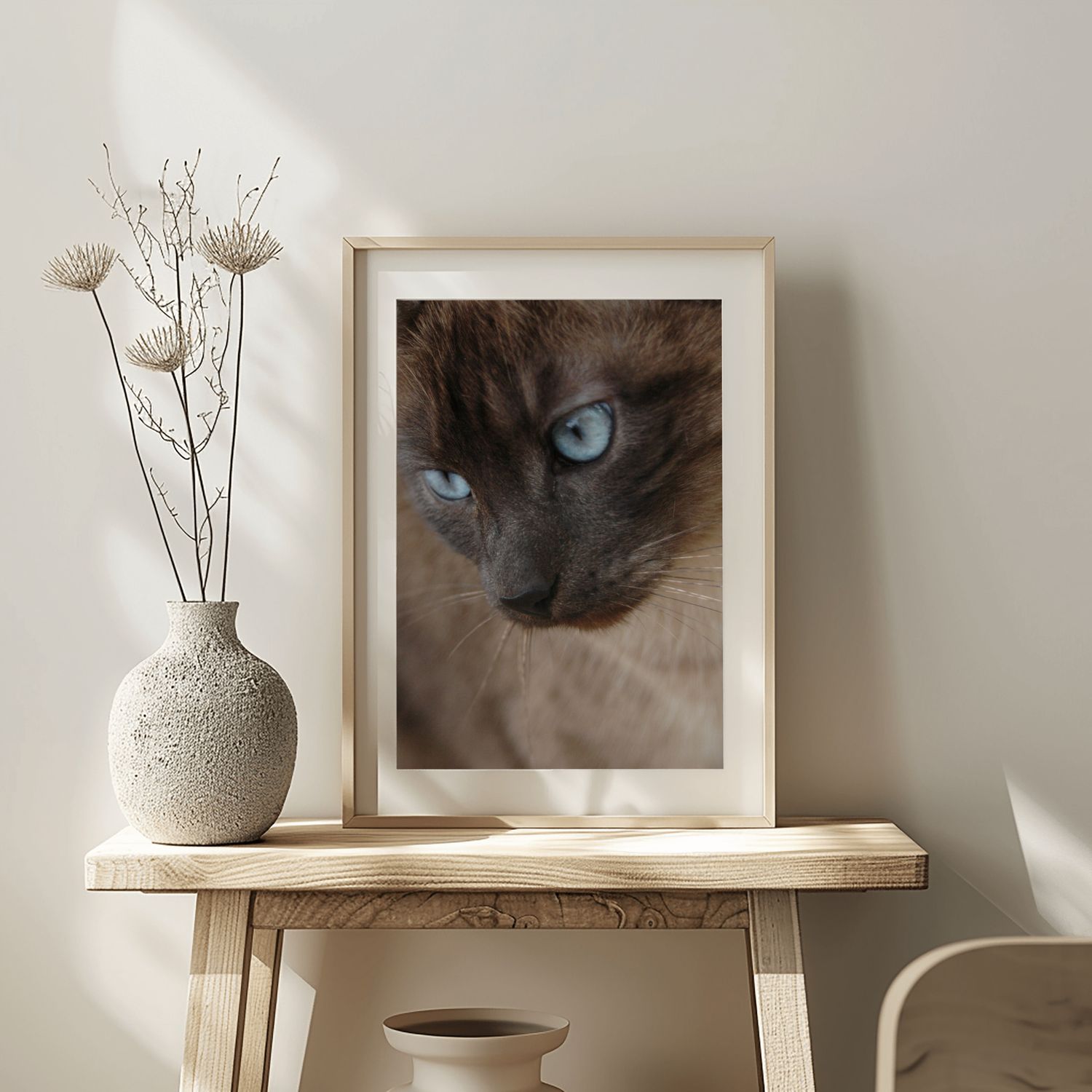 Portrait of a siamese cat framed and resting on a side table