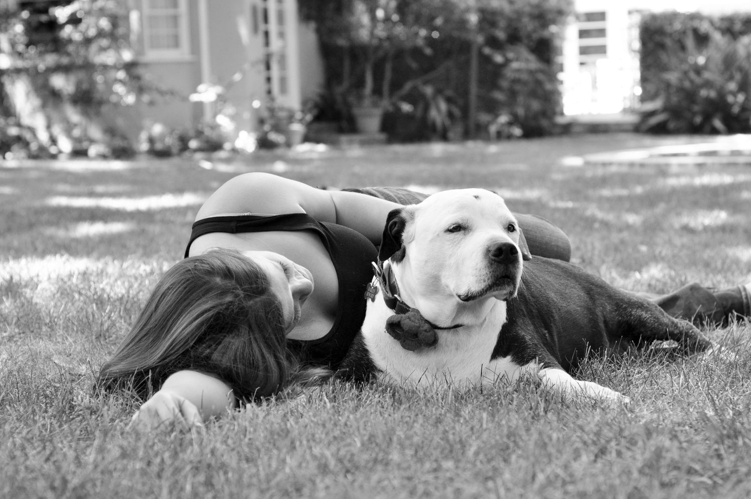 Senior Pet Photography