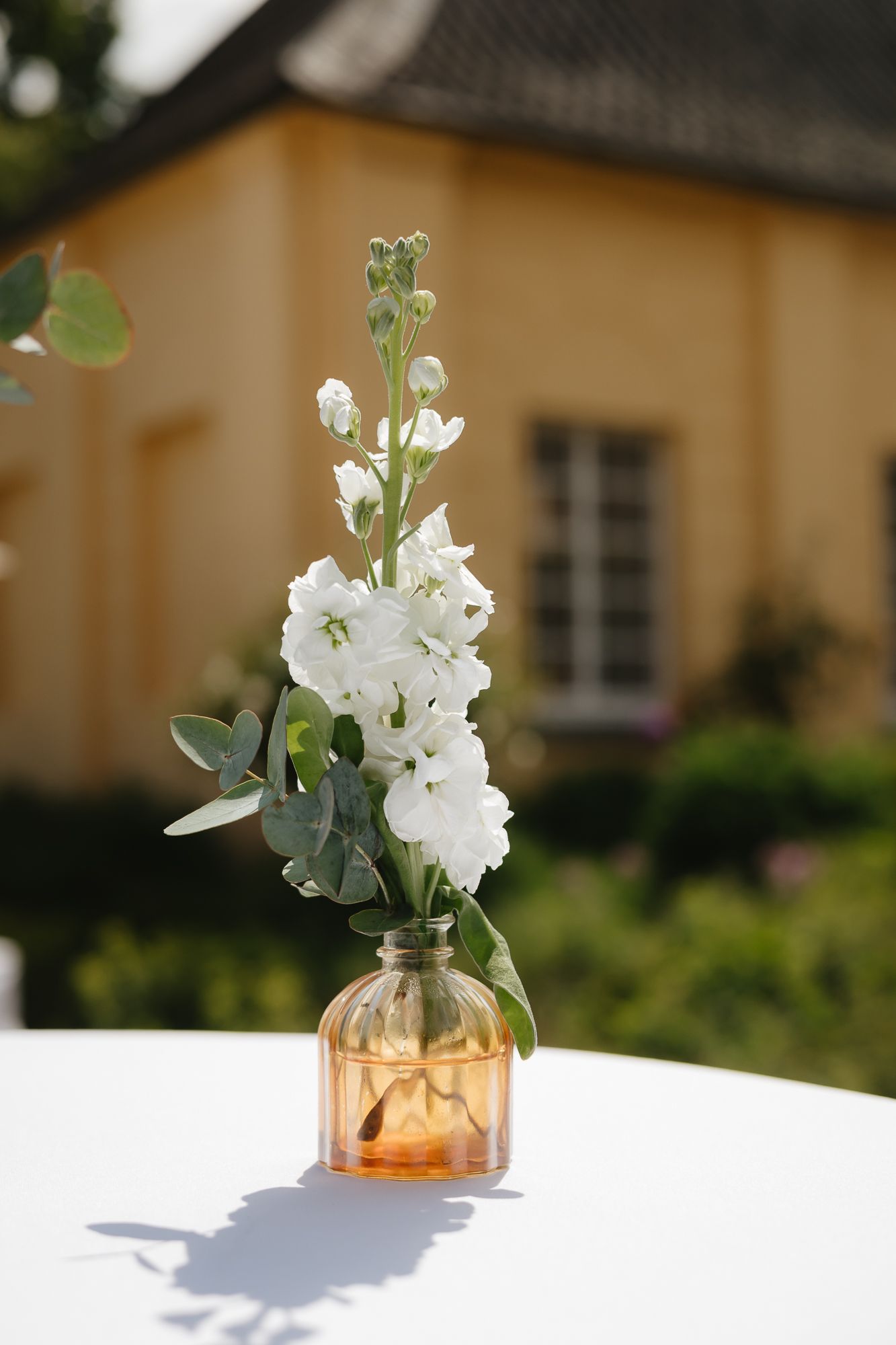 White floral arrangements in amber glass vases displayed on a white surface.