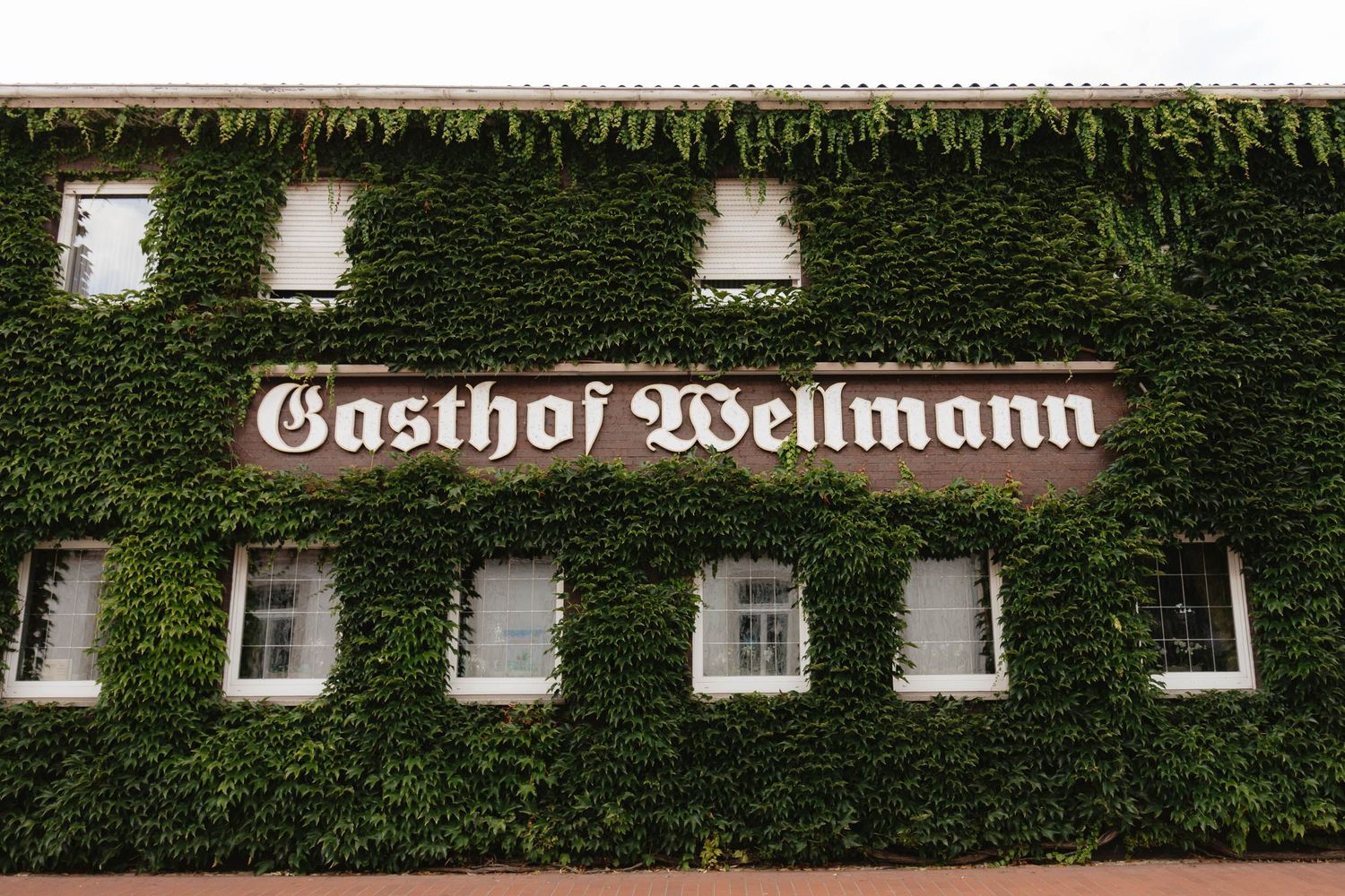 Historic ivy-covered German gasthof building with white windows and traditional signage against a lush green facade.
