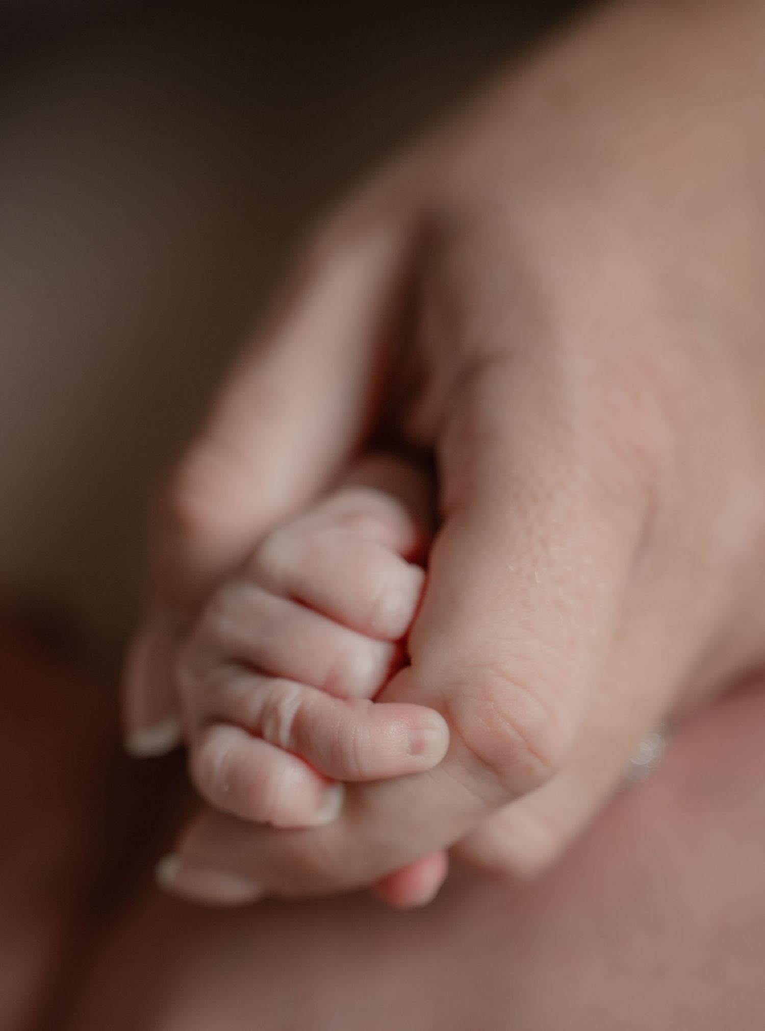 Close-up macro photo series showing tiny baby toes in soft focus with shallow depth of field.