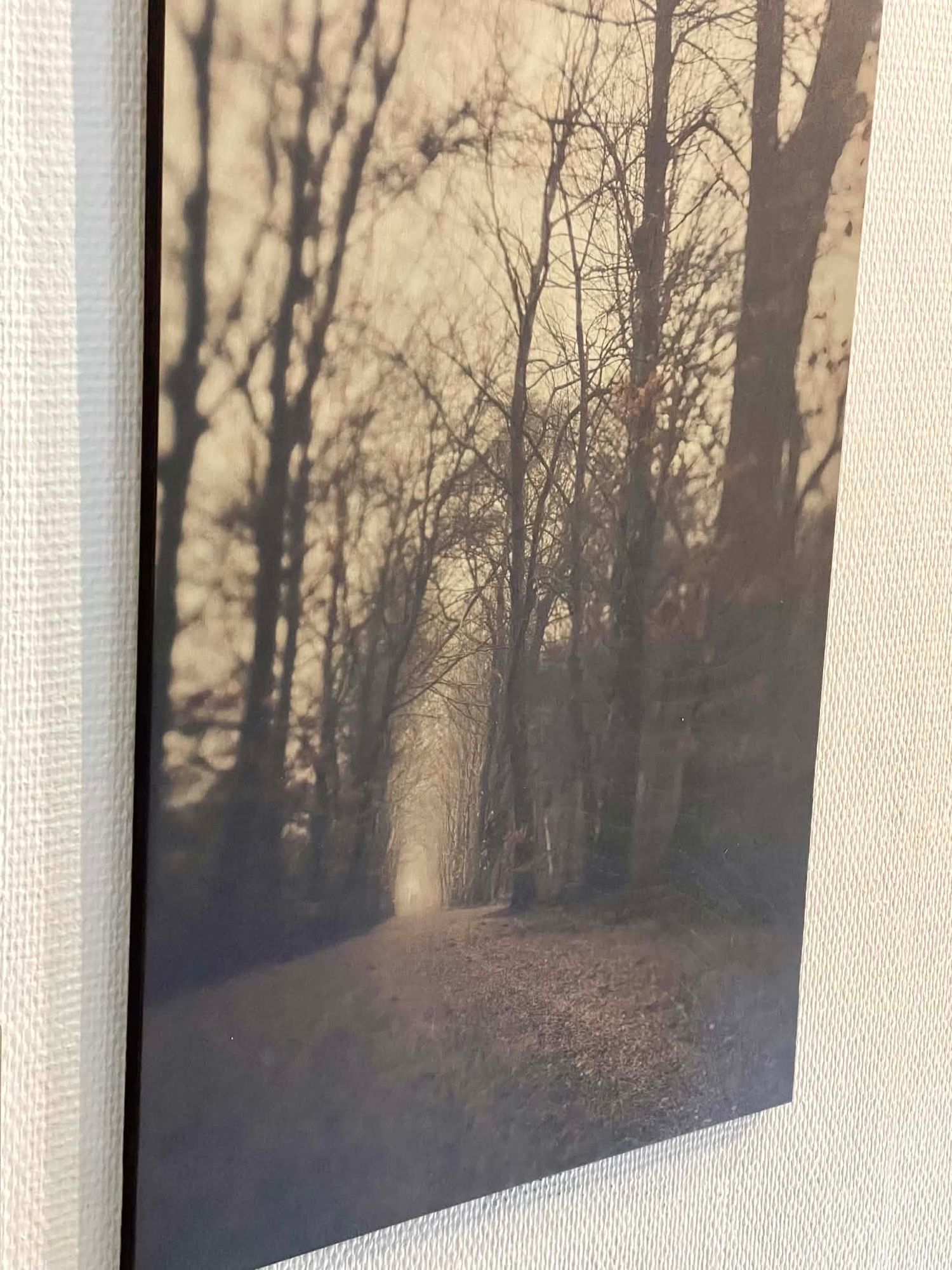 Fotografi af en skovsti med lys for enden