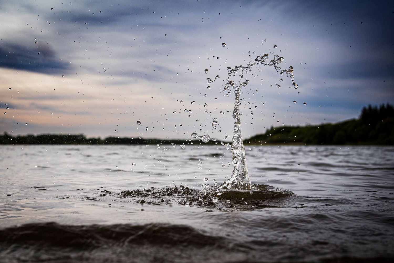 Fotografi af et plop i vandet i Stubbergård sø.