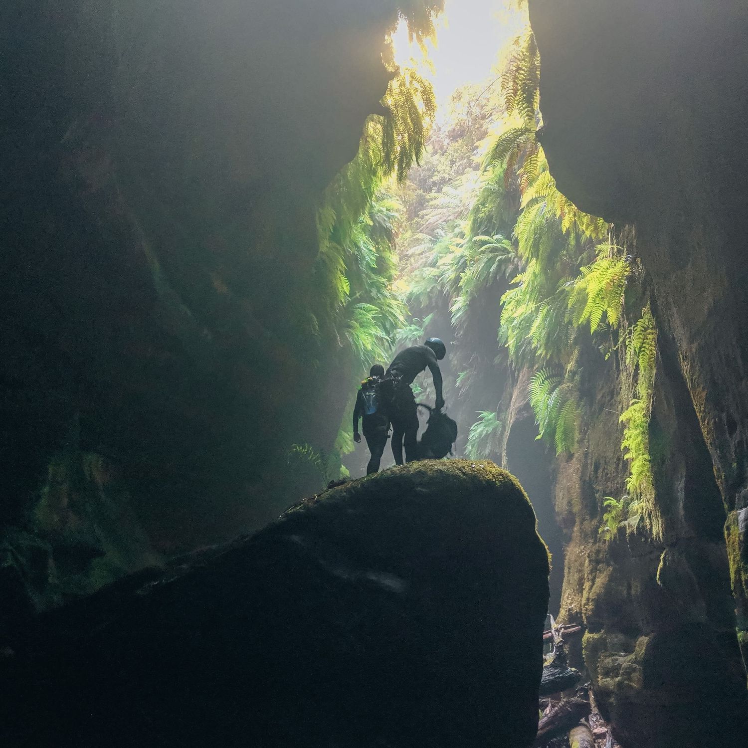 Two explorers stand on a mossy rock inside a dramatic cave with lush green ferns and sunlight streaming from above.