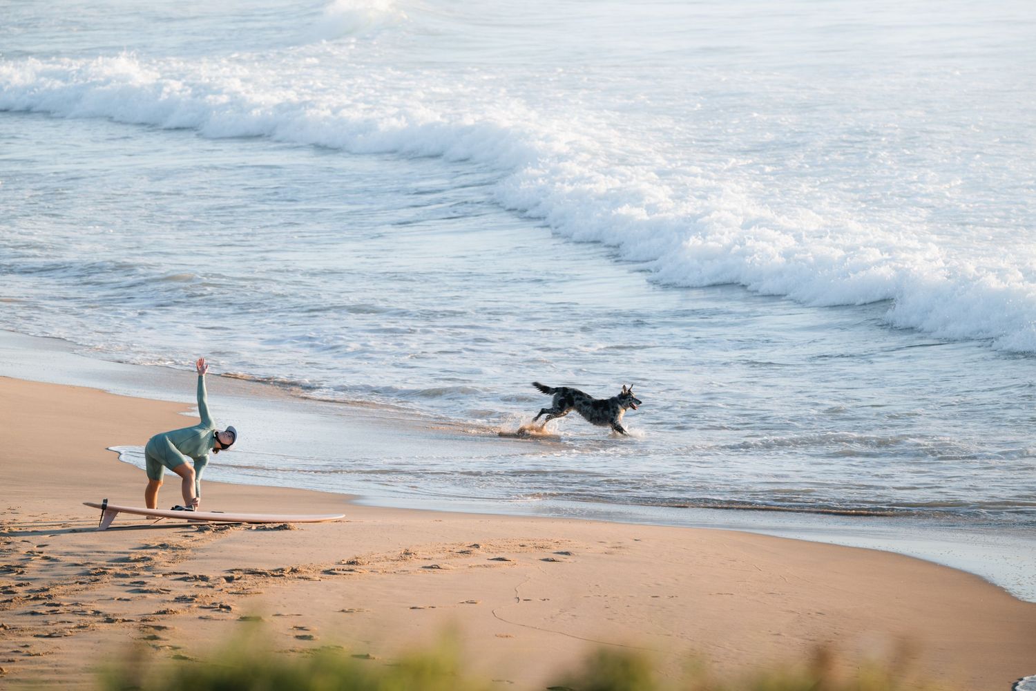 Person doing yoga on a surfboard on a sandy beach while a black dog runs along the shoreline.