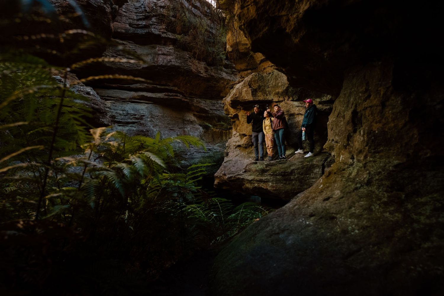 Group of tourists exploring a dramatic sandstone cave surrounded by lush ferns in the Blue Mountains, Australia.