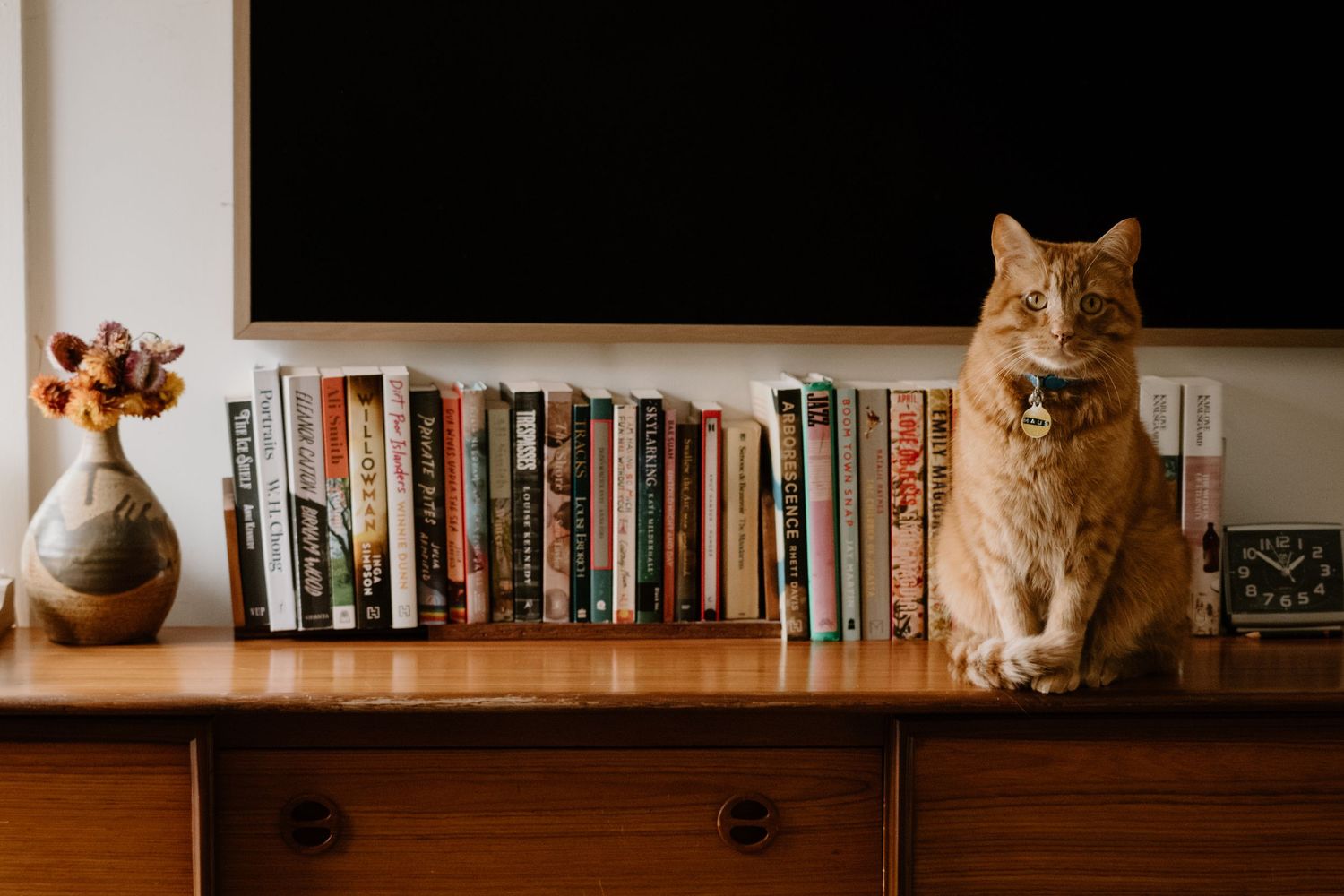 An orange tabby cat with a bell collar sits on a wooden dresser beside a row of books and a floral vase.