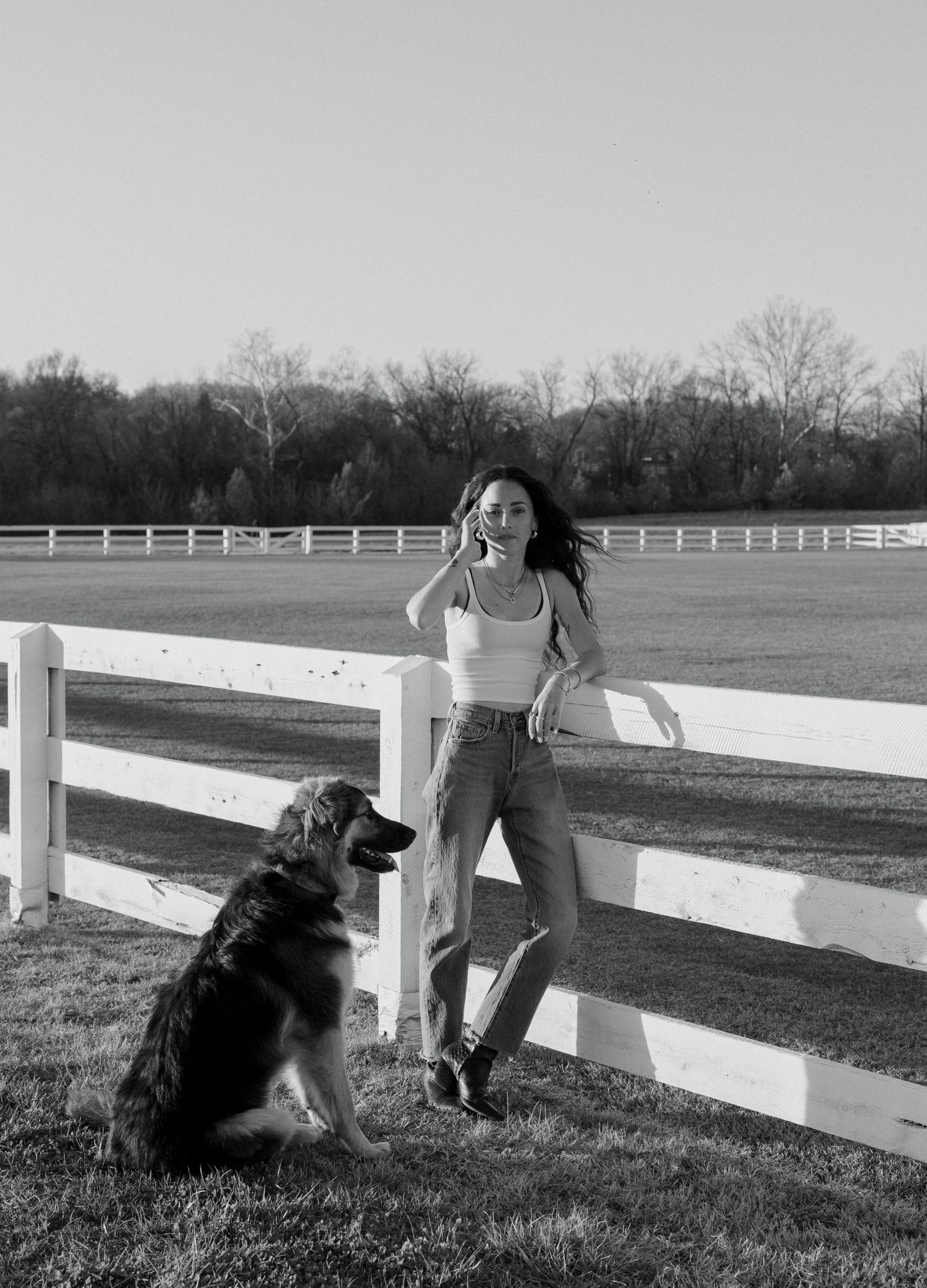 A black dog sits by a white wooden fence in a grassy field, shown in a sequence of five similar photos.