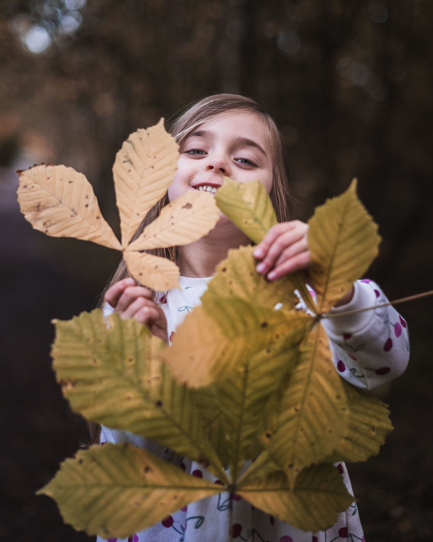 A person playfully peeks through large autumn leaves in a sequence of candid outdoor photos. Ephemera.